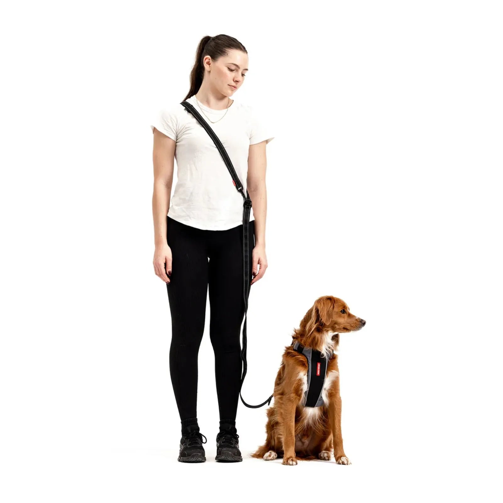 EzyDog Vario 6 Dog Lead