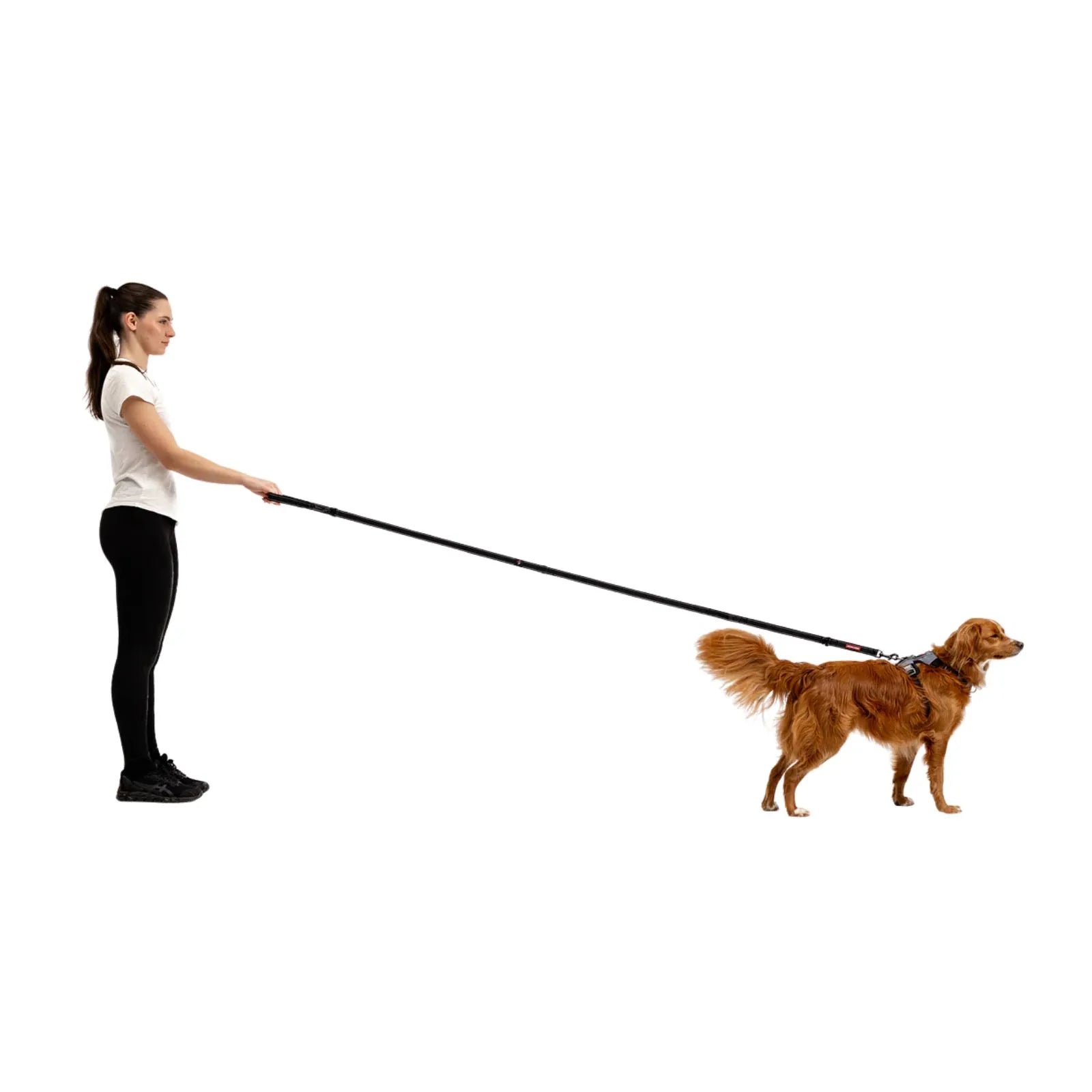 EzyDog Vario 6 Dog Lead