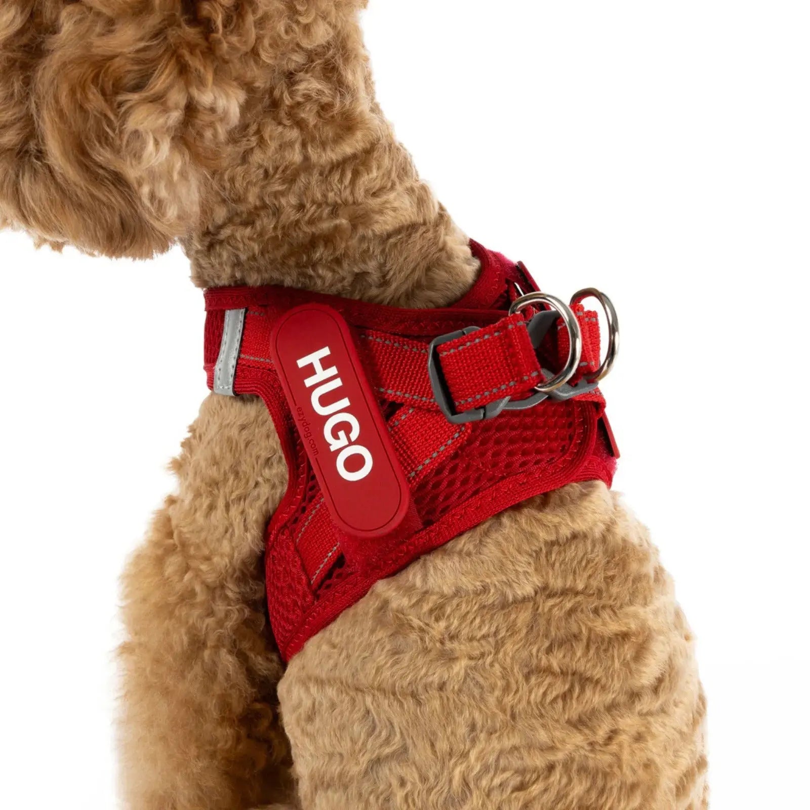 Ezydog FORMFIT Mesh Harness - Blue EzyDog
