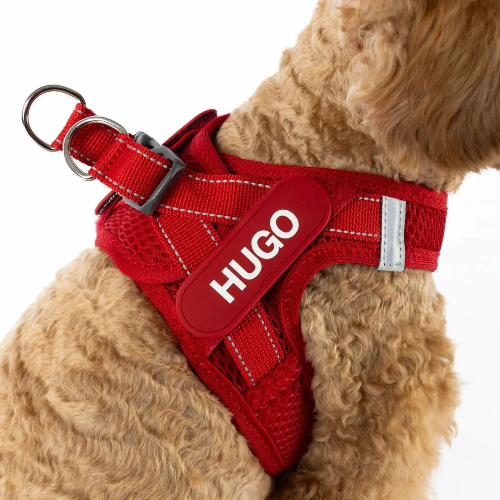 Ezydog FORMFIT Mesh Harness - Blue EzyDog