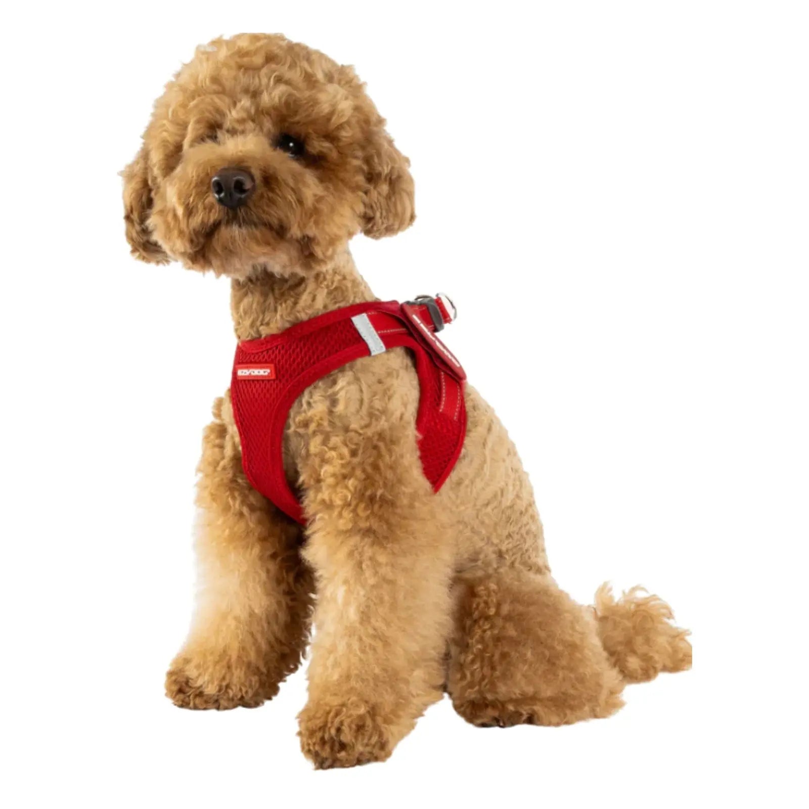Ezydog FORMFIT Mesh Harness - Green EzyDog