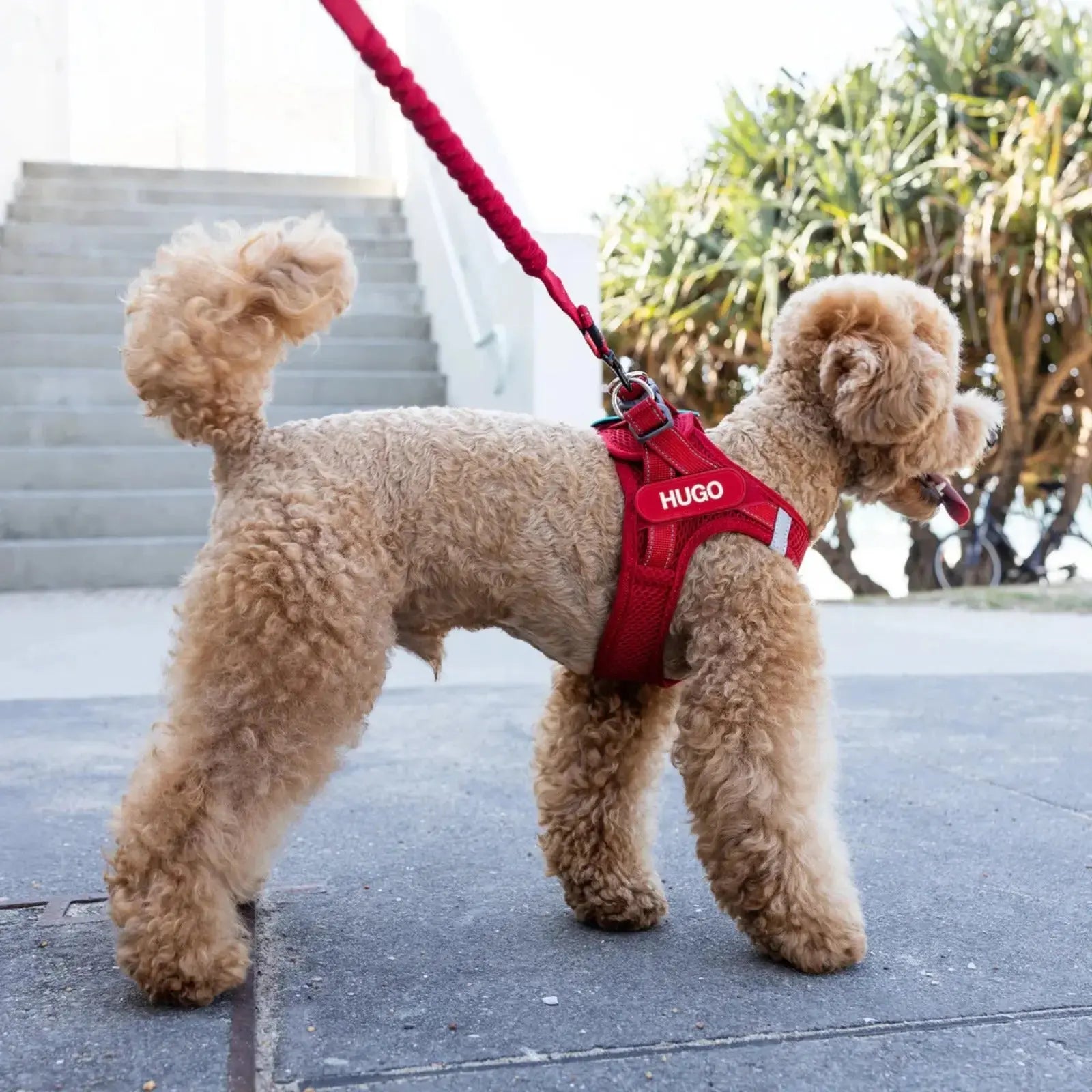 Ezydog FORMFIT Mesh Harness - Pink EzyDog