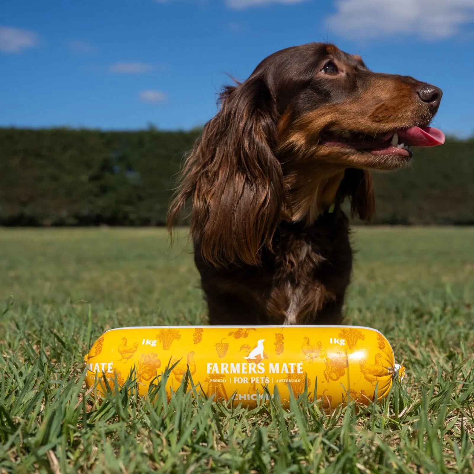 Farmers Mate for Pets Fresh Chicken Roll