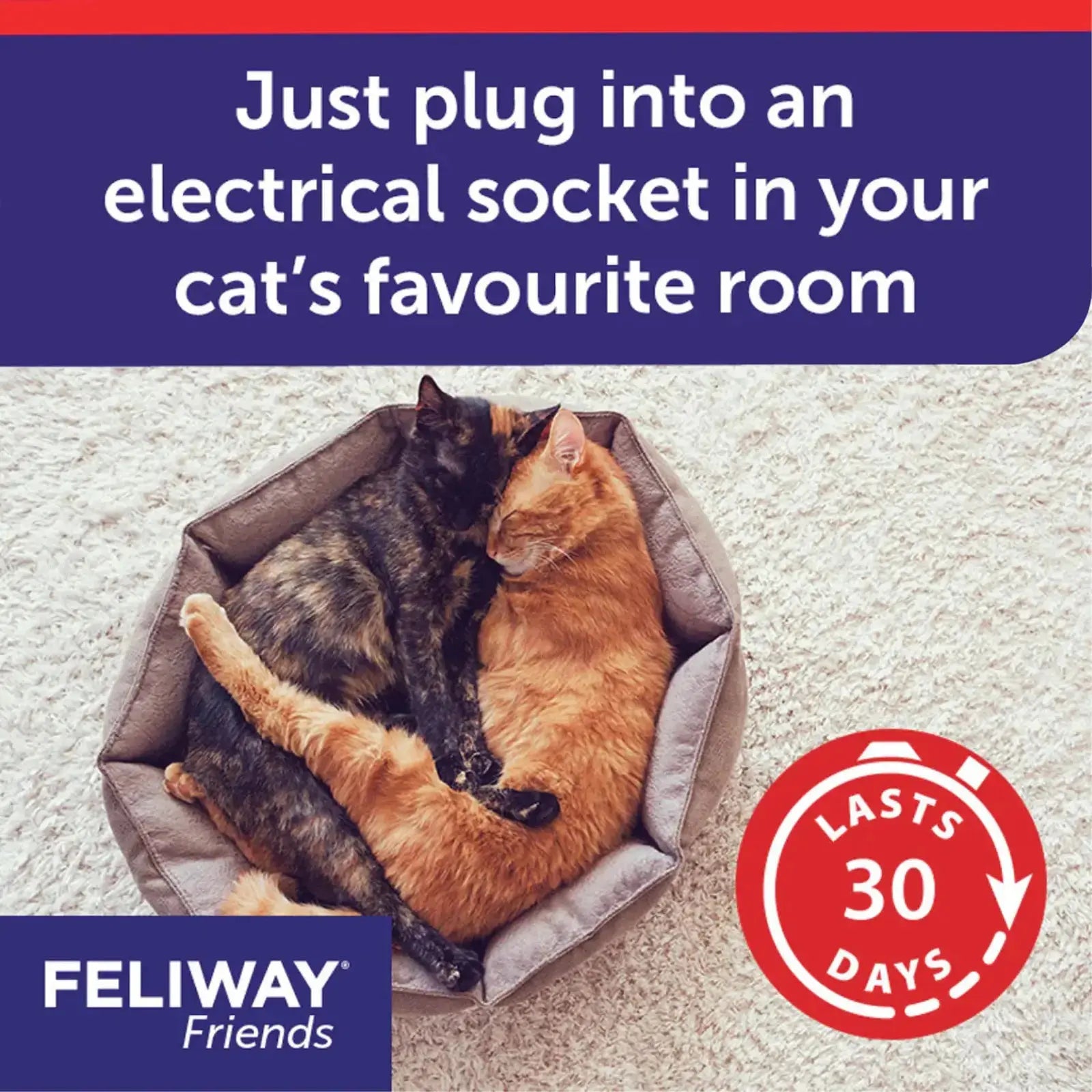 Feliway Friends Diffuser & Refill Set Feliway