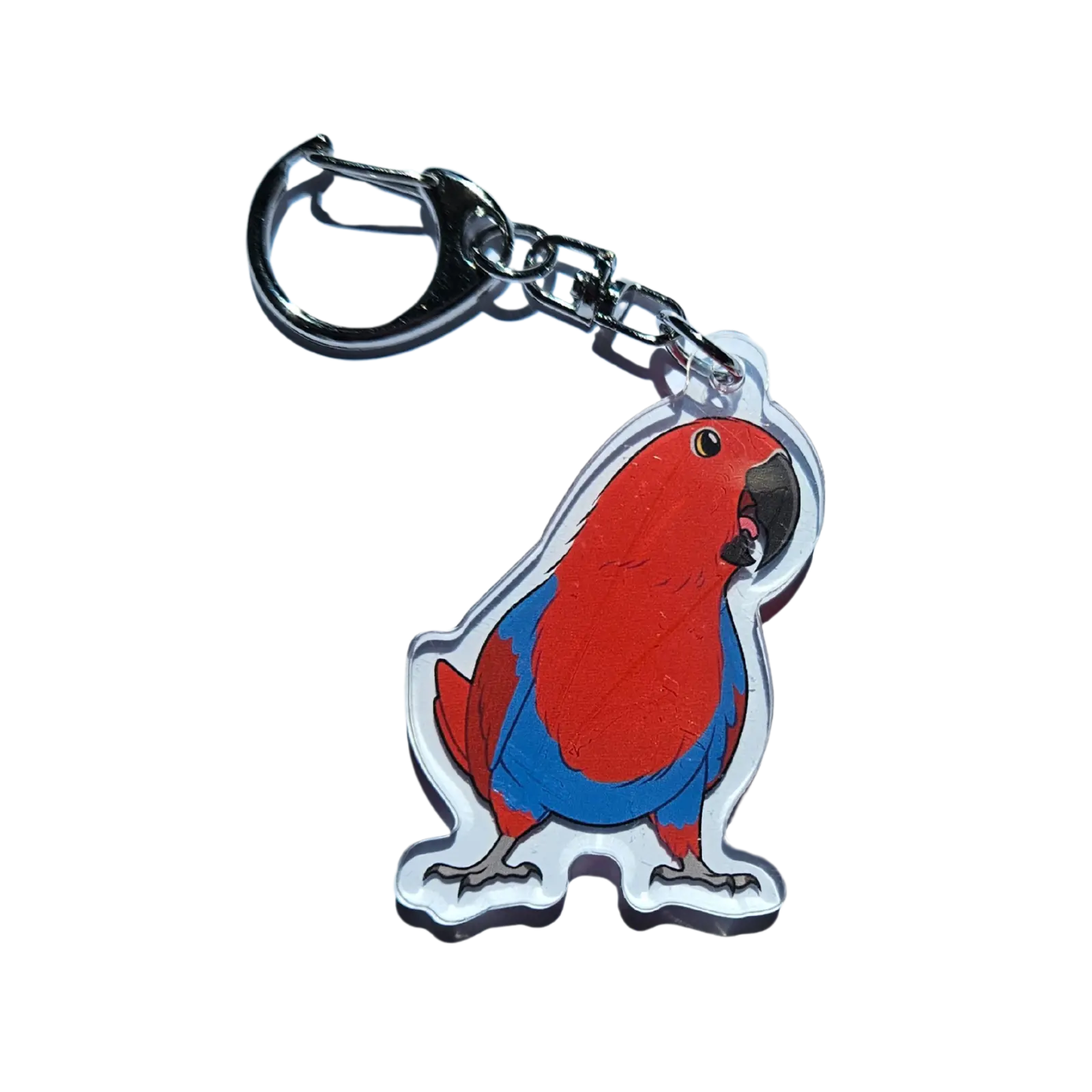 Female Eclectus Parrot Acrylic Keychain Hecko Gecko
