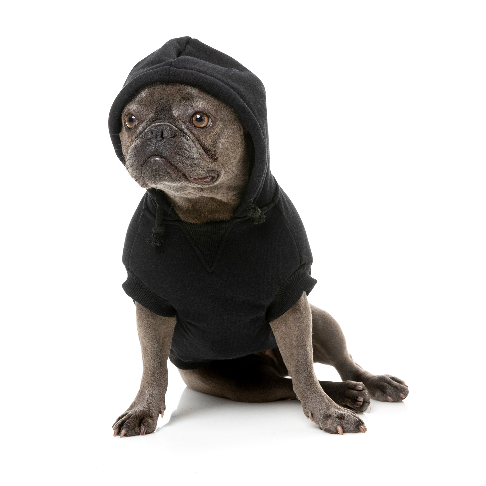 FuzzYard Dog Coat Flash Hoodie