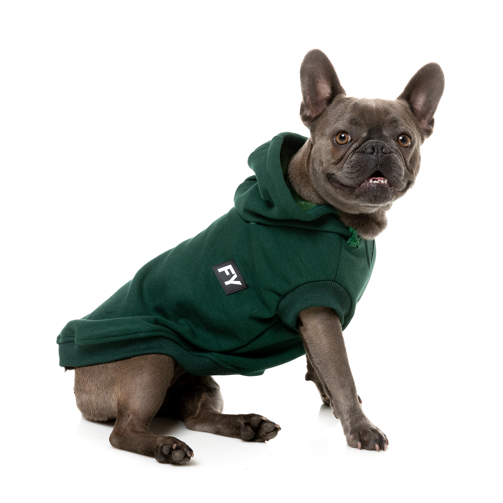 FuzzYard Dog Coat Flash Hoodie