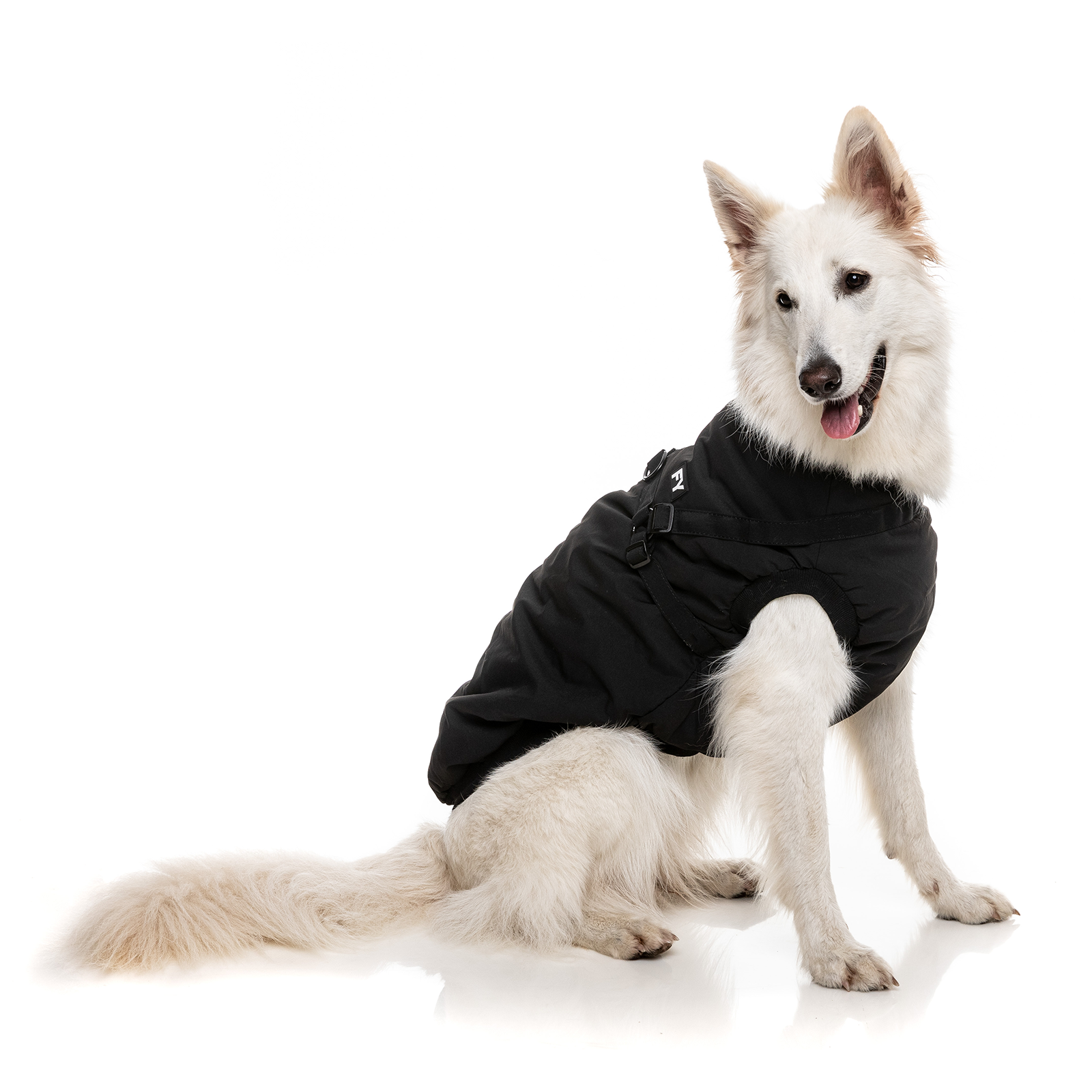 FuzzYard Dog Coat Flash Jacket