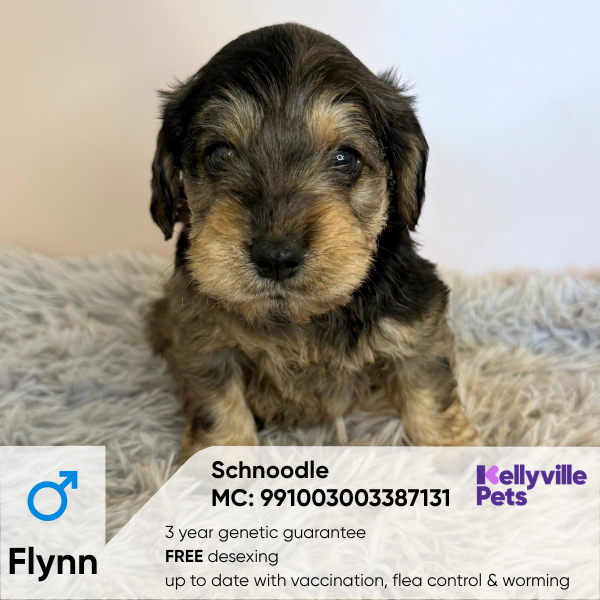 Flynn