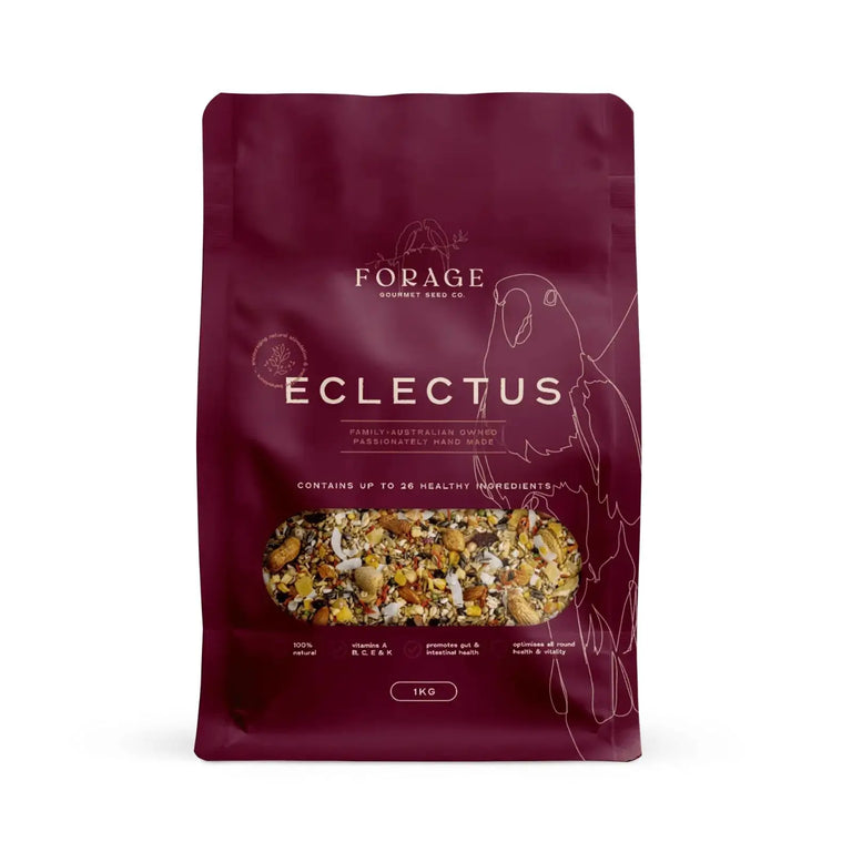 Forage Gourmet Eclectus Food Forage