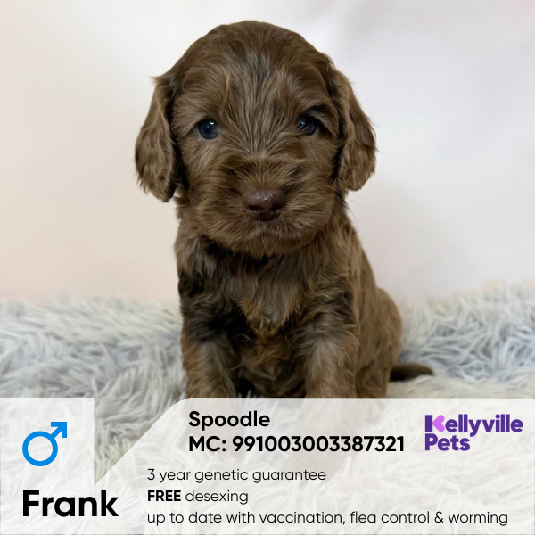 Frank