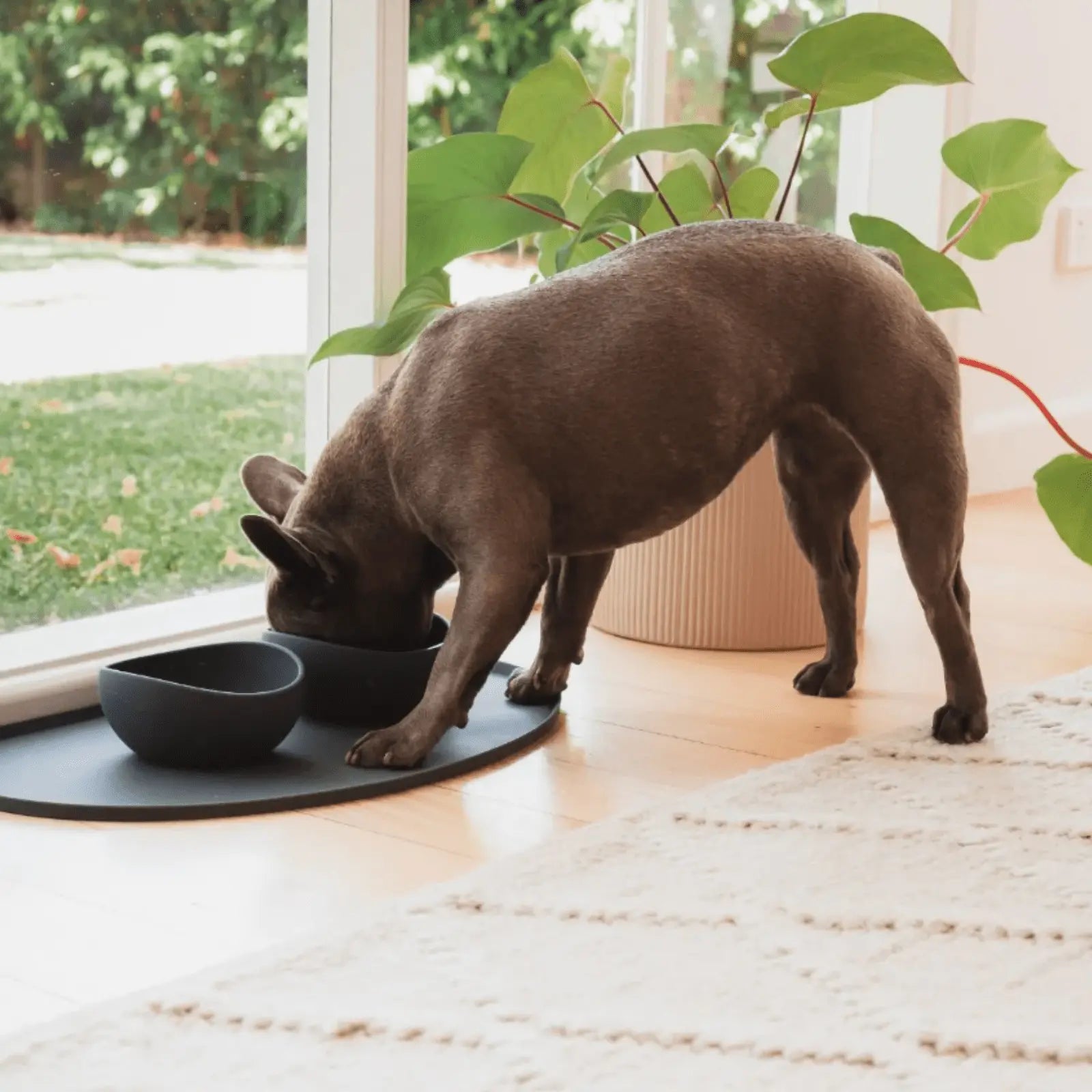 FuzzYard Life Silicone Feeding Mat - Kellyville Pets