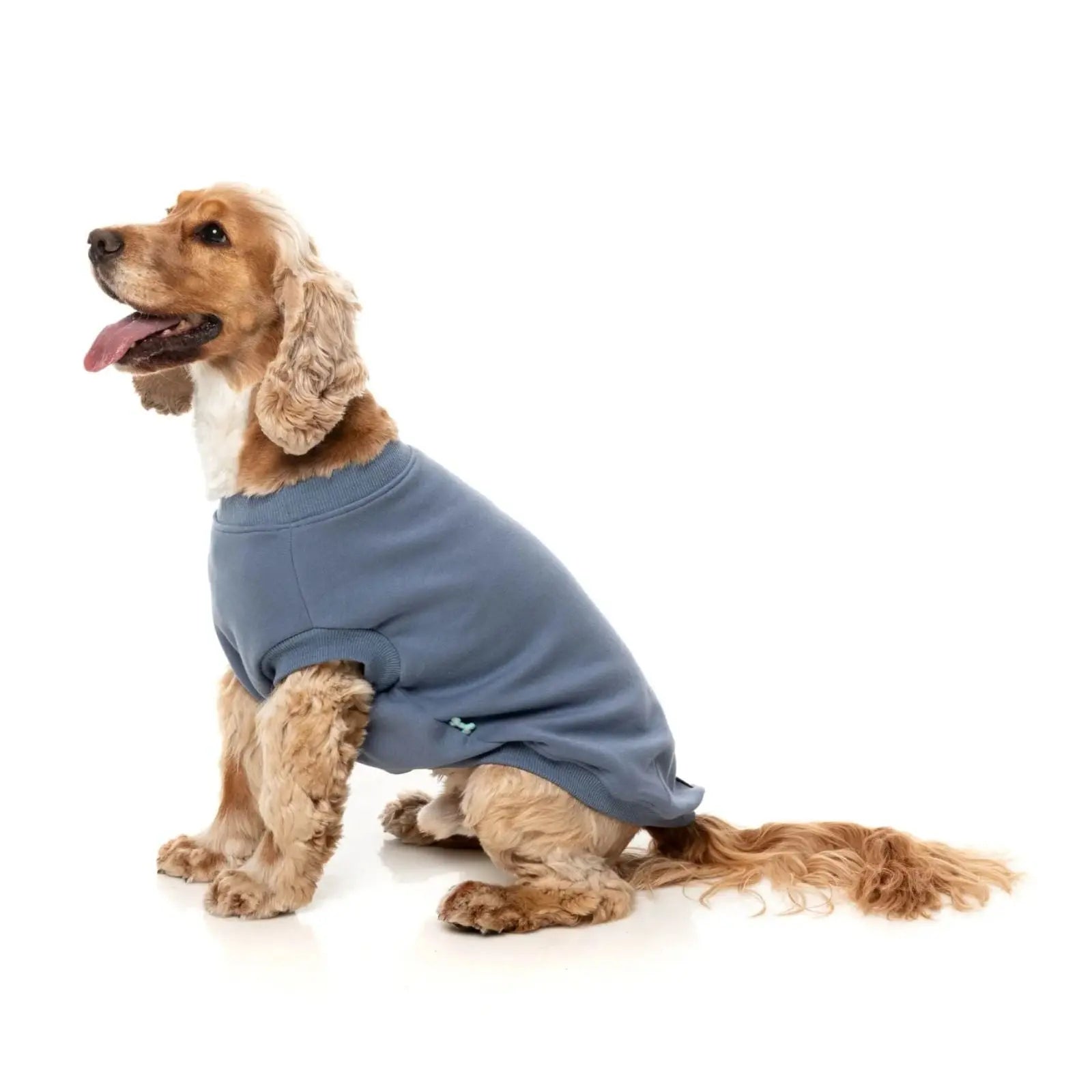 Fuzzyard Allday Dog Sweater - Blue Fuzzyard