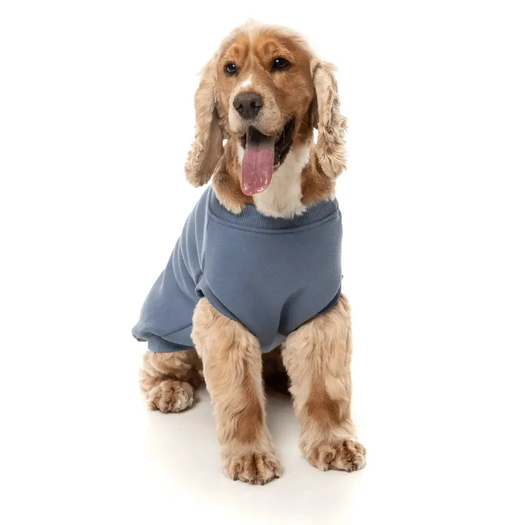 Fuzzyard Allday Dog Sweater - Blue - Kellyville Pets