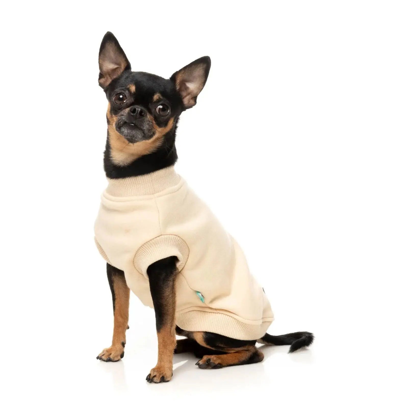 Fuzzyard Allday Dog Sweater - Cream Fuzzyard