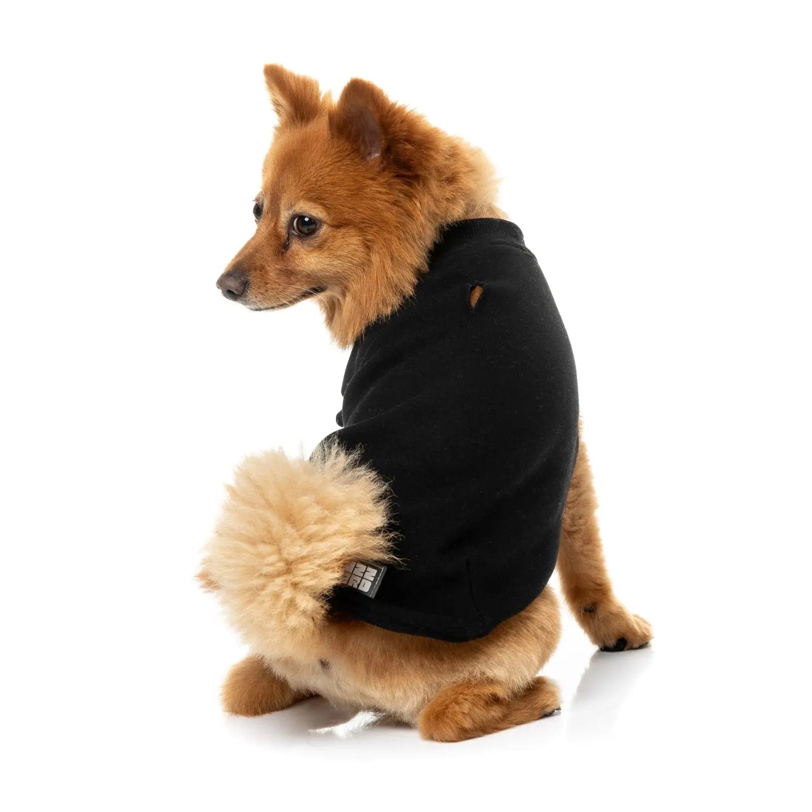 Fuzzyard Allday Sweater Dog Coat - Black Fuzzyard
