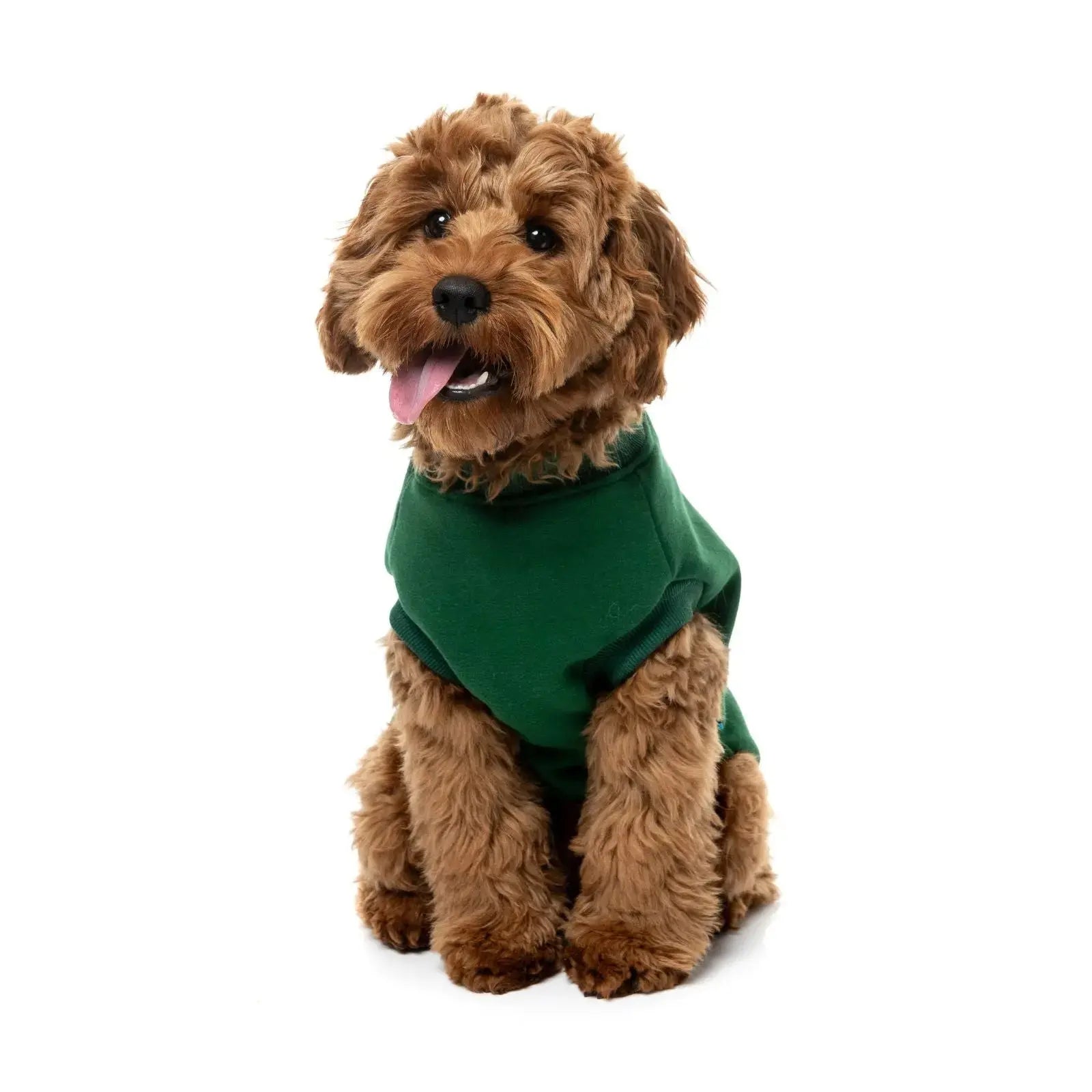 Fuzzyard Allday Sweater  Dog Coat - Green Fuzzyard