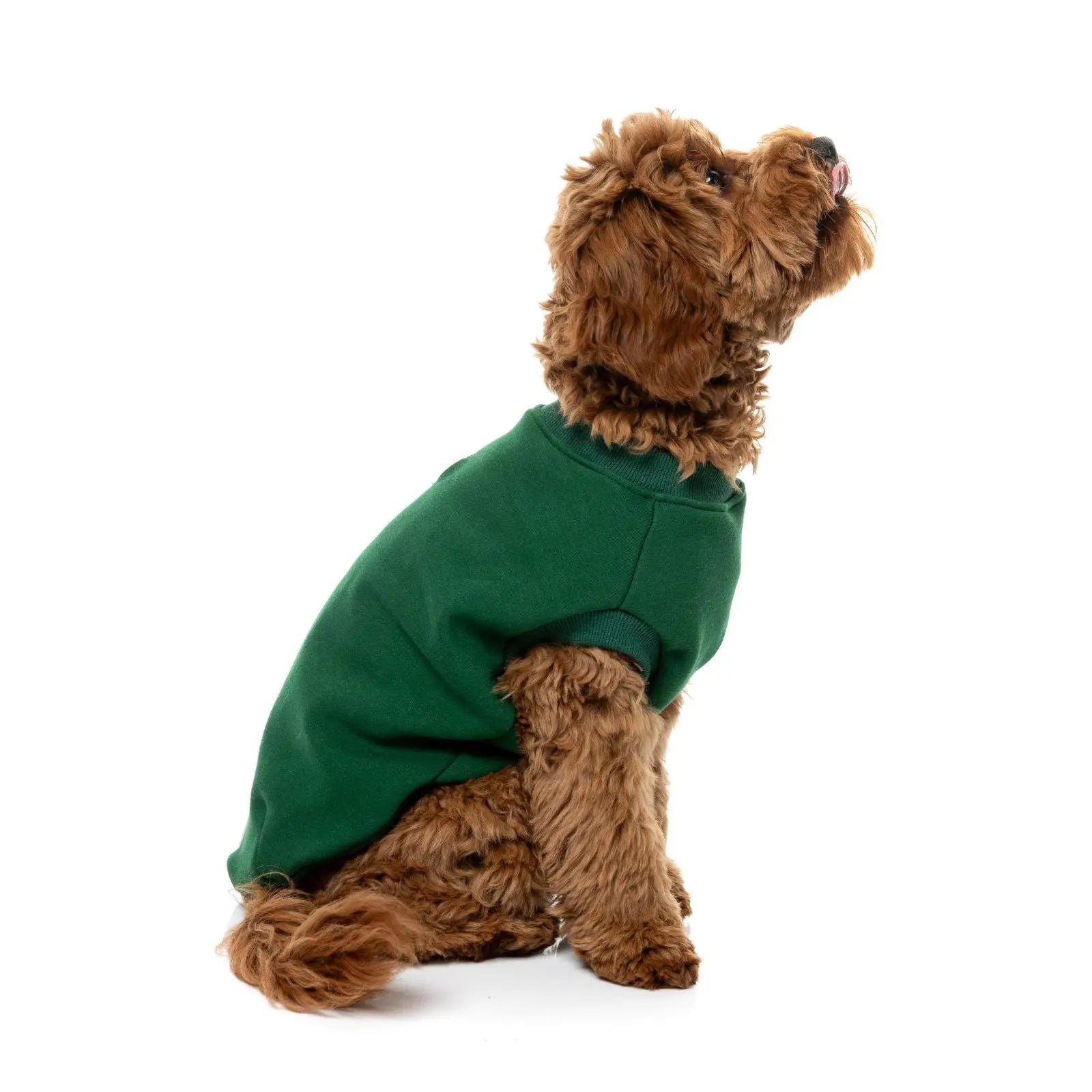 Fuzzyard Allday Sweater  Dog Coat - Green Fuzzyard