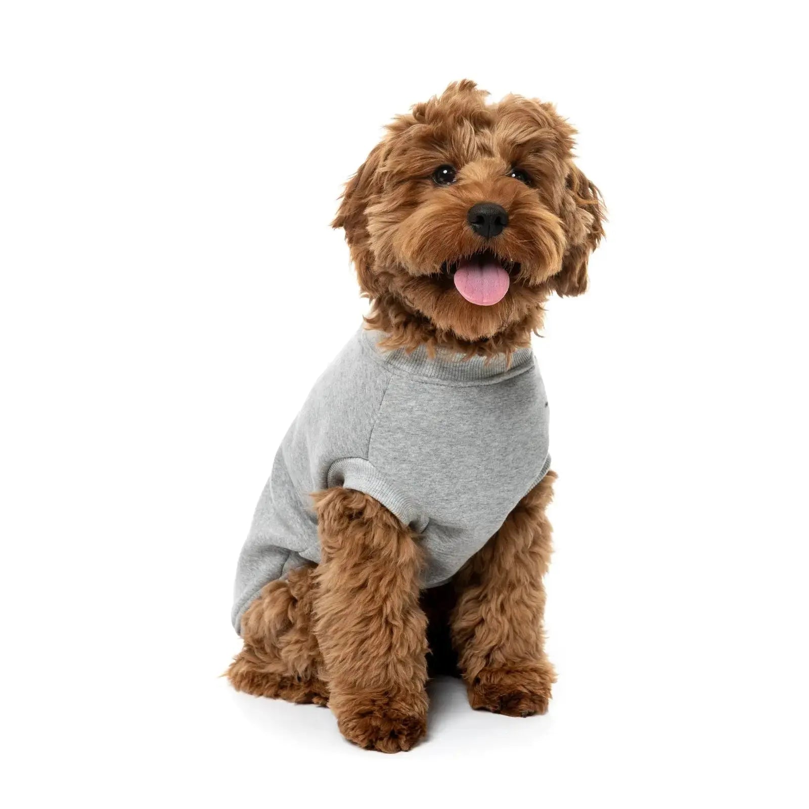 Fuzzyard Allday Sweater  Dog Coat - Grey Fuzzyard