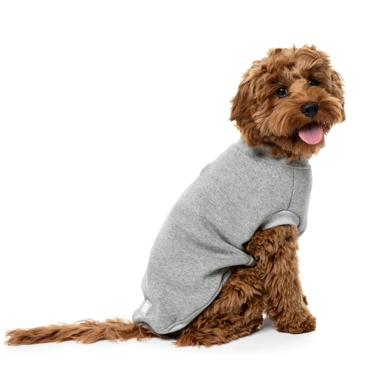 Fuzzyard Allday Sweater  Dog Coat - Grey Fuzzyard