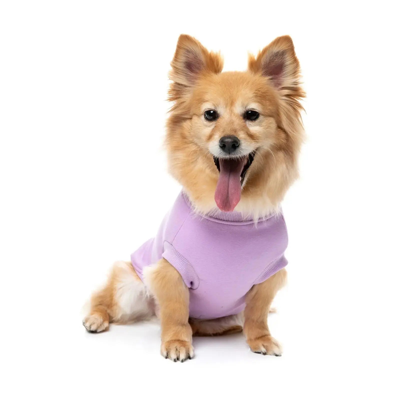 Fuzzyard Allday Sweater  Dog Coat - Lilac Fuzzyard
