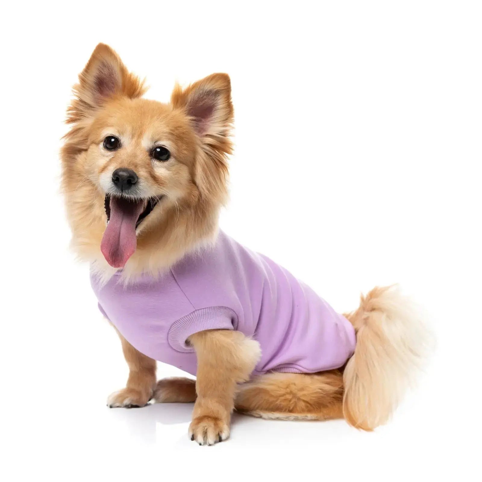Fuzzyard Allday Sweater  Dog Coat - Lilac Fuzzyard