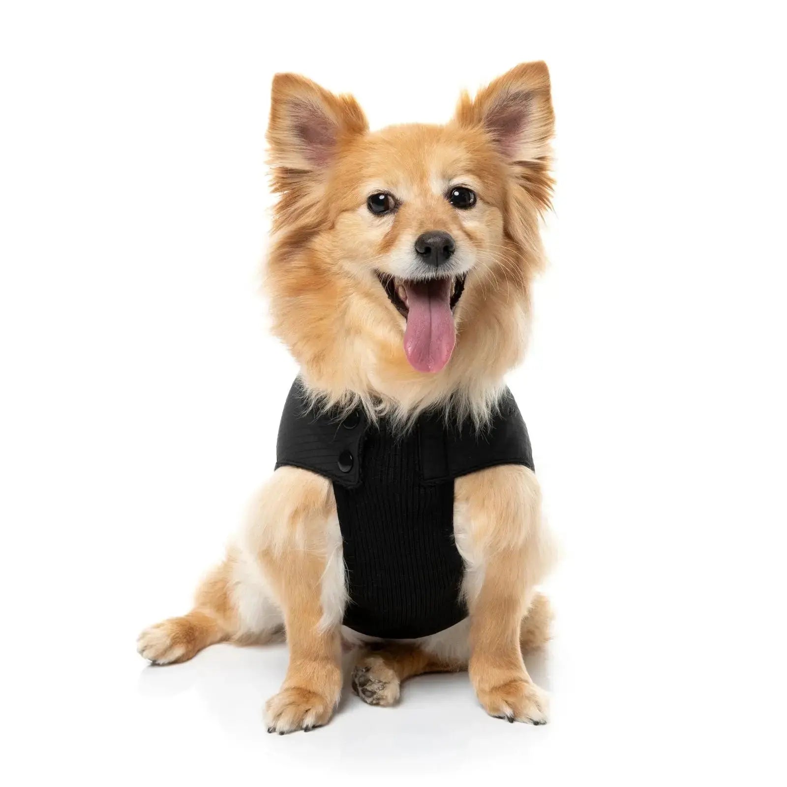 Fuzzyard Bomber Jacket  Dog Coat - Black Fuzzyard