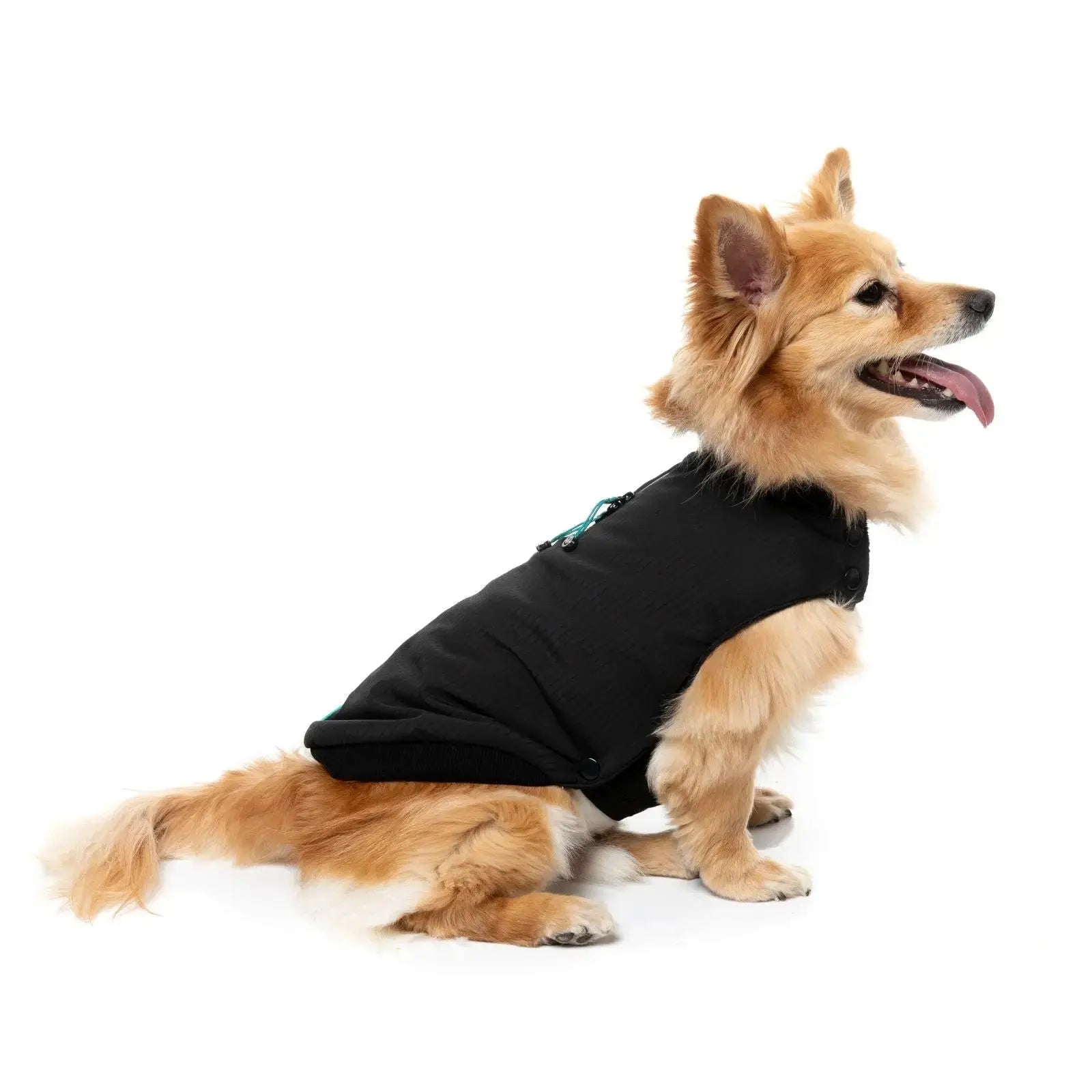 Fuzzyard Bomber Jacket  Dog Coat - Black Fuzzyard