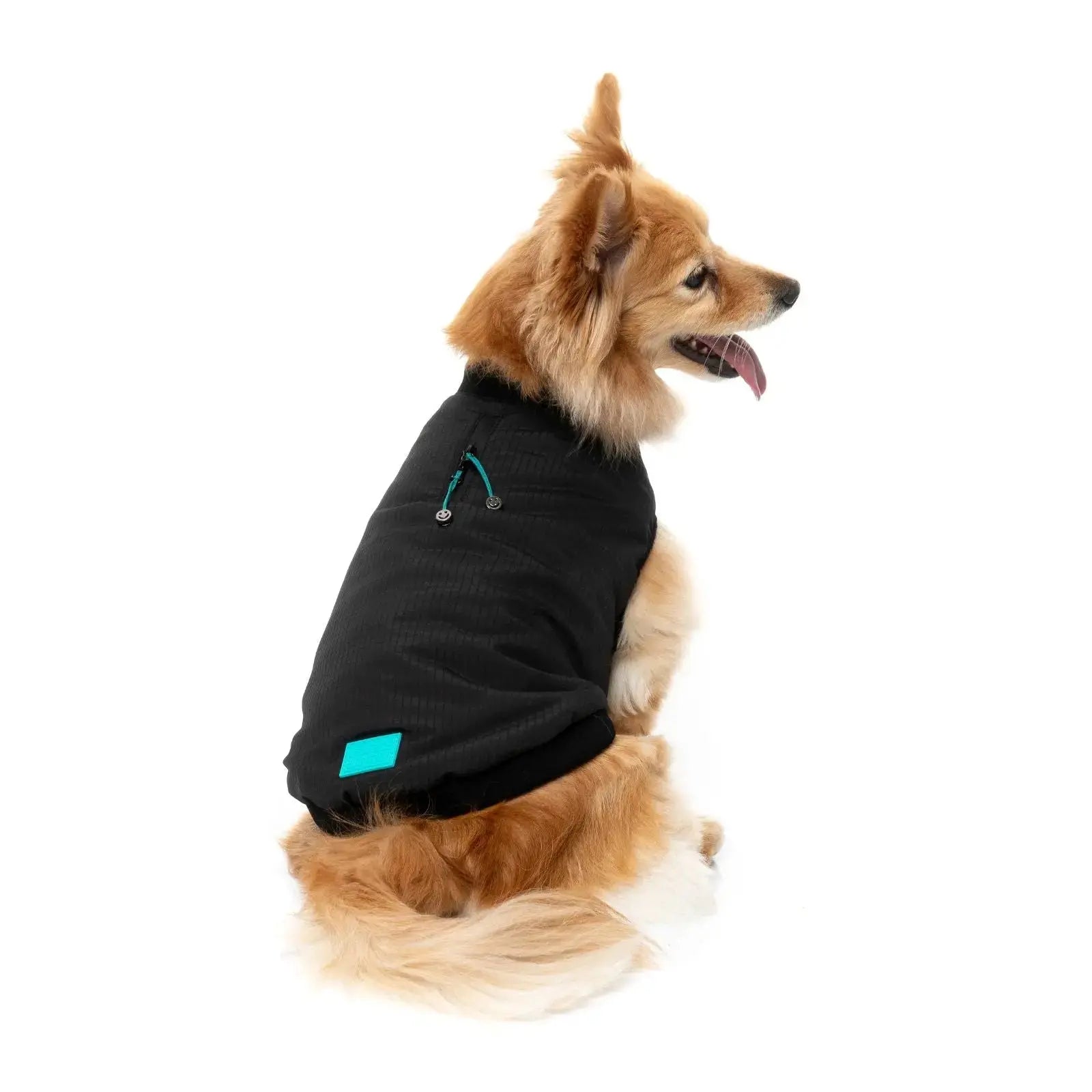 Fuzzyard Bomber Jacket  Dog Coat - Black Fuzzyard