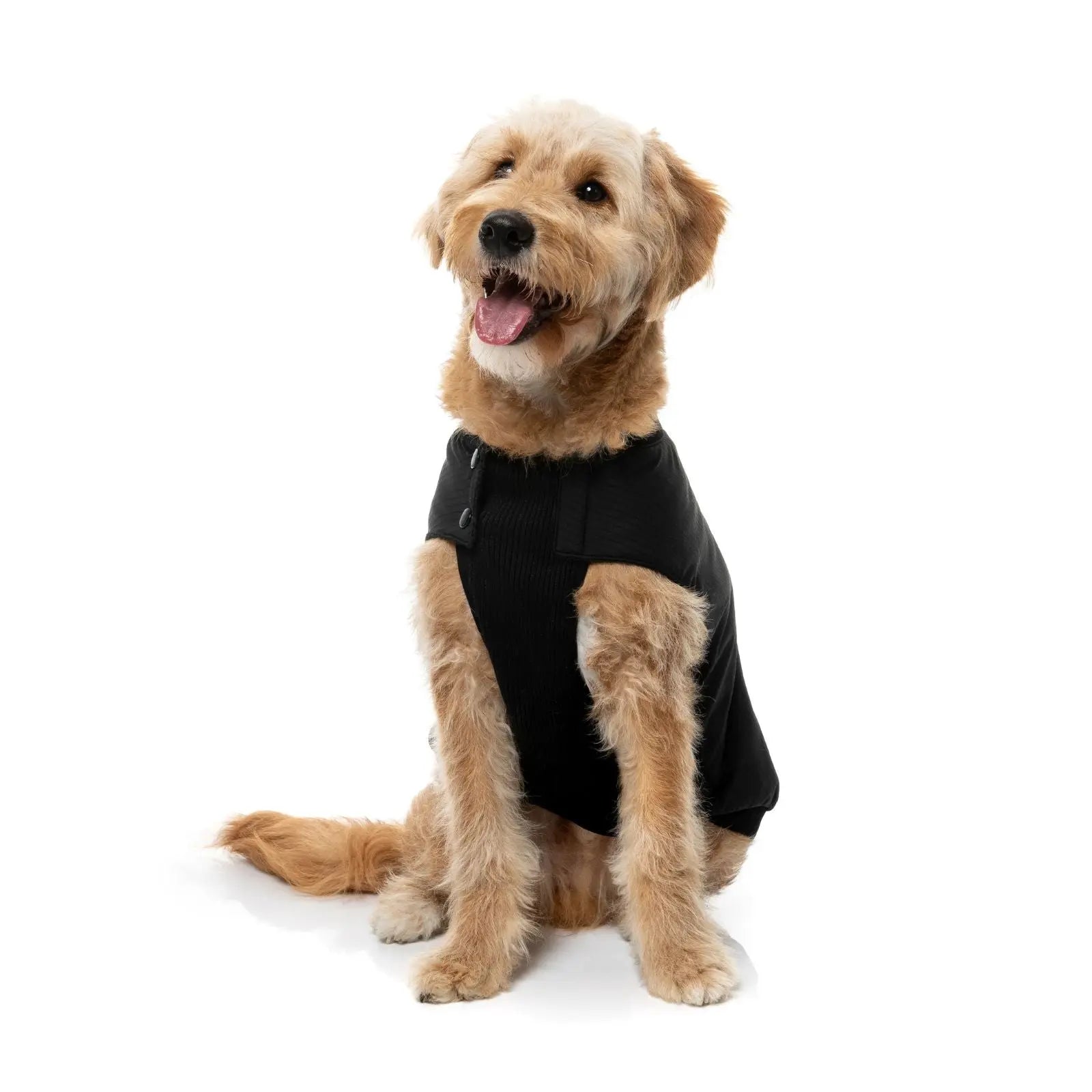 Fuzzyard Bomber Jacket  Dog Coat - Black Fuzzyard