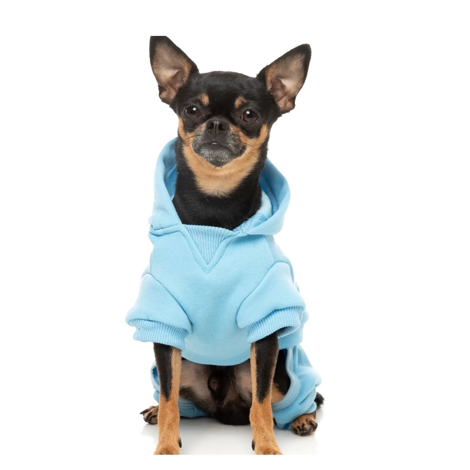 Fuzzyard Chillin' Tracksuit  Dog Coat - Blue Fuzzyard
