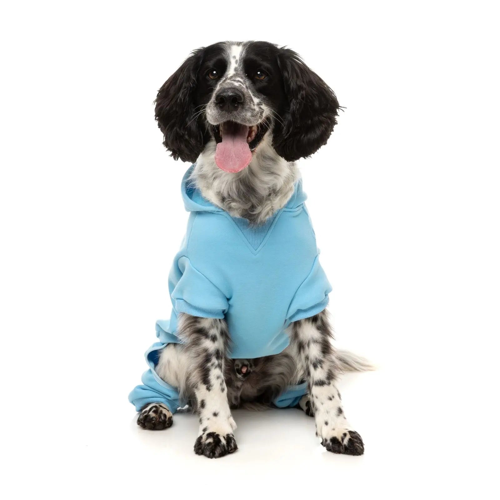 Fuzzyard Chillin' Tracksuit  Dog Coat - Blue Fuzzyard