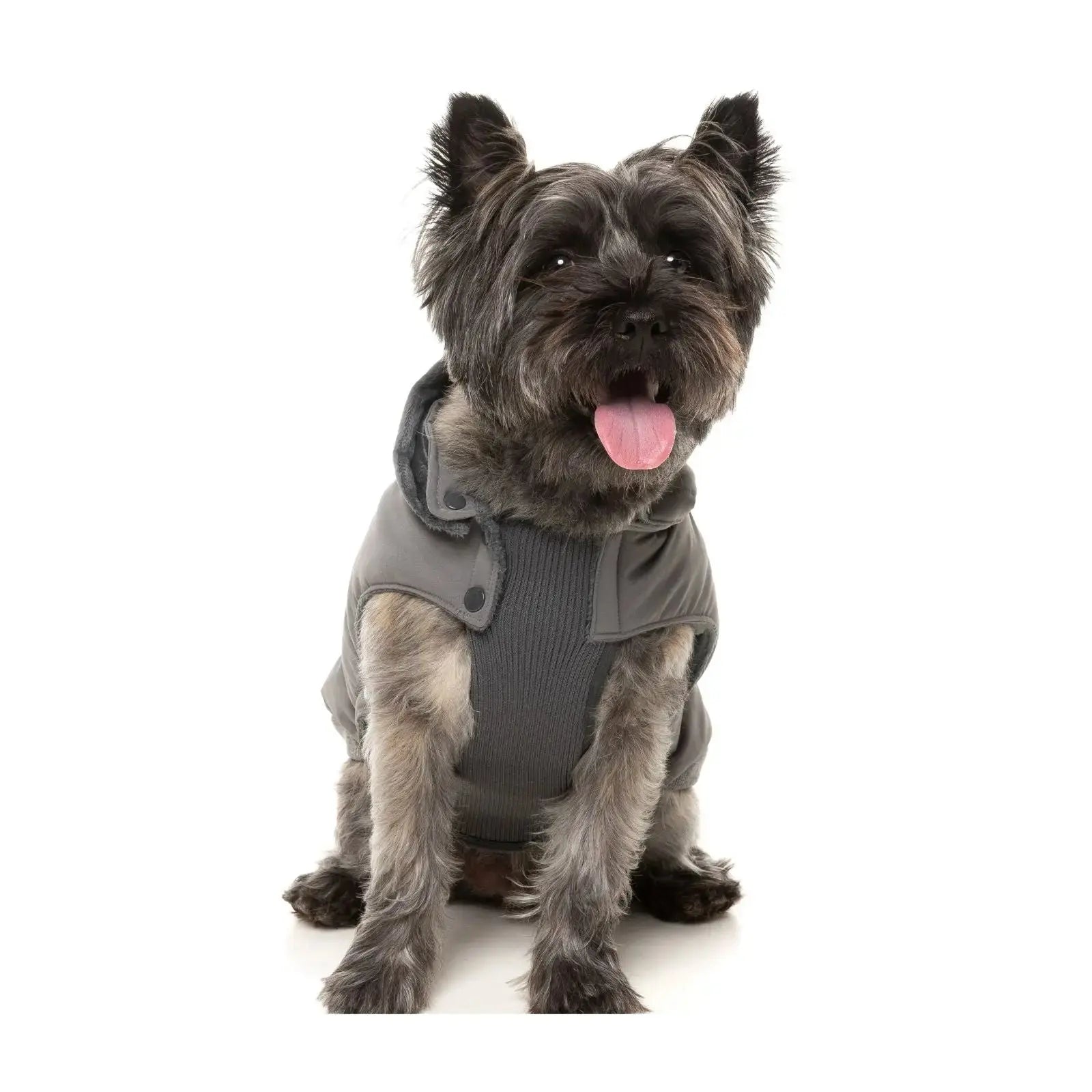 Fuzzyard Essential Padded Jacket  Dog Coat - Grey Fuzzyard