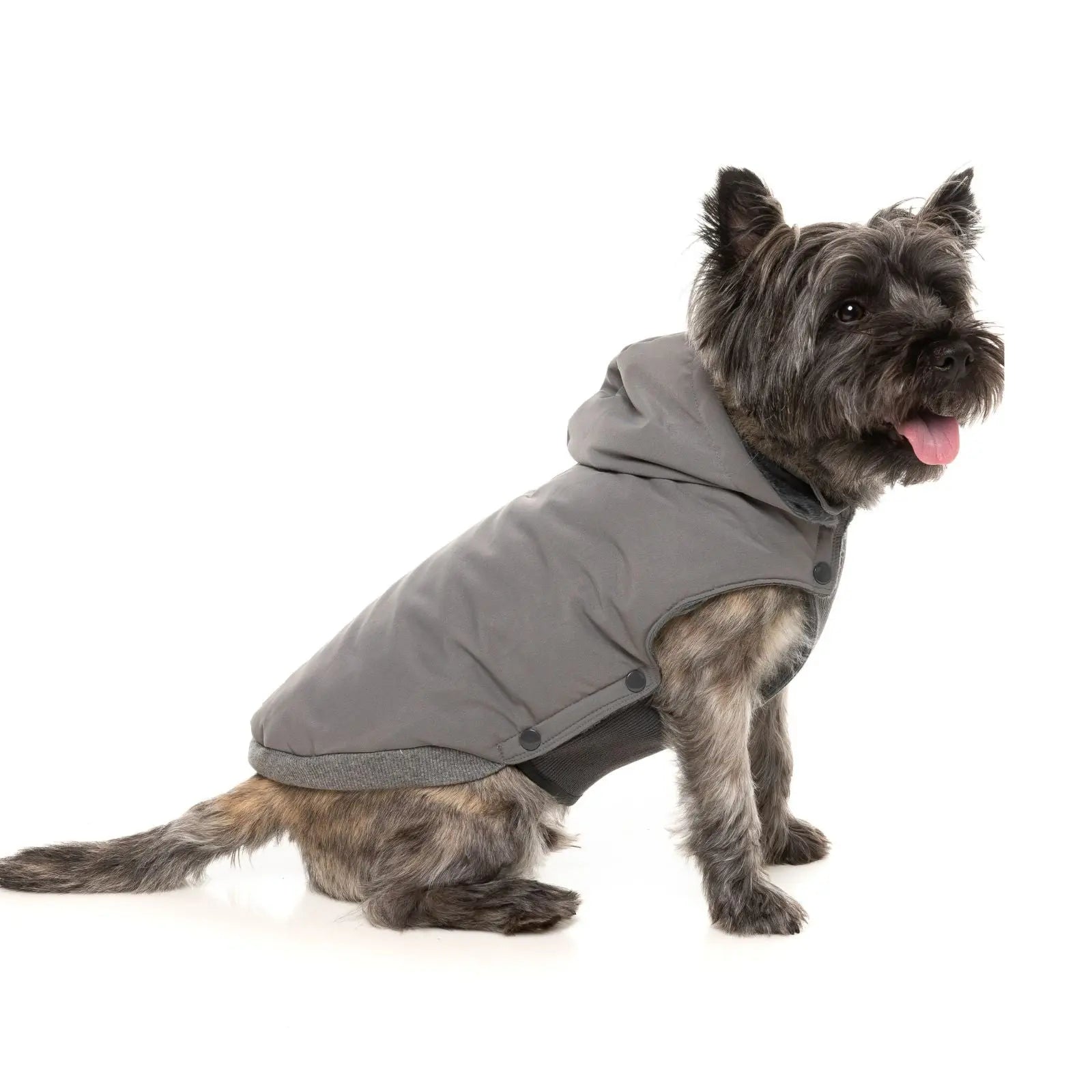 Fuzzyard Essential Padded Jacket  Dog Coat - Grey Fuzzyard