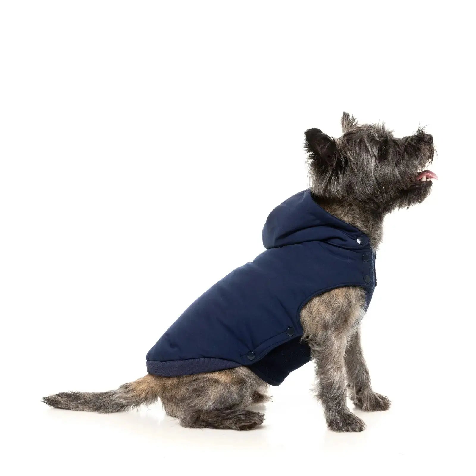 Fuzzyard Essential Padded Jacket  Dog Coat - Navy Fuzzyard