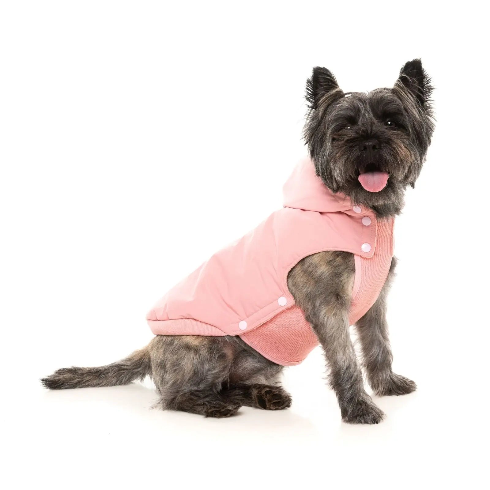 Fuzzyard Essential Padded Jacket  Dog Coat - Pink Fuzzyard