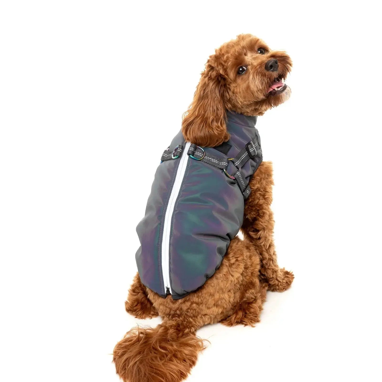Fuzzyard Flash Jacket  Dog Coat - Reflective Fuzzyard