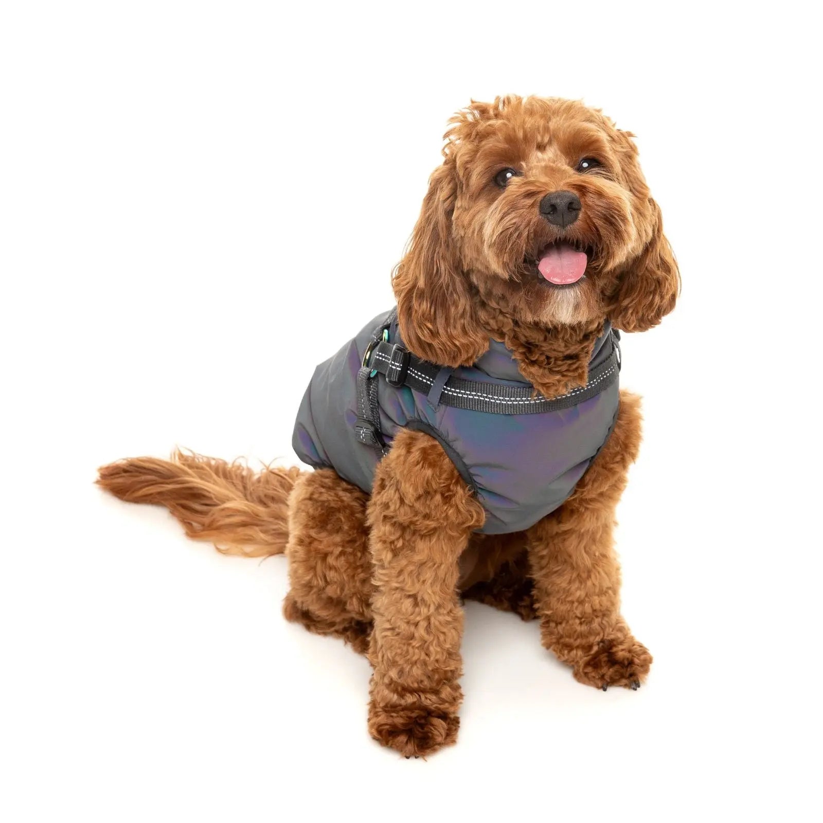 Fuzzyard Flash Jacket  Dog Coat - Reflective Fuzzyard