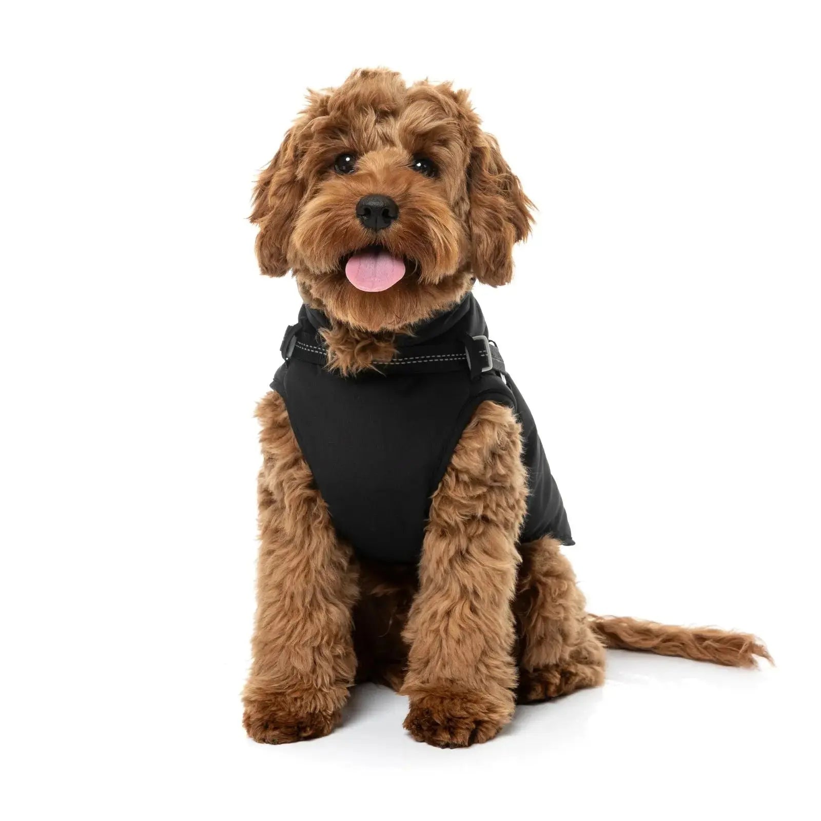 Fuzzyard Horizon Jacket  Dog Coat - Black Fuzzyard