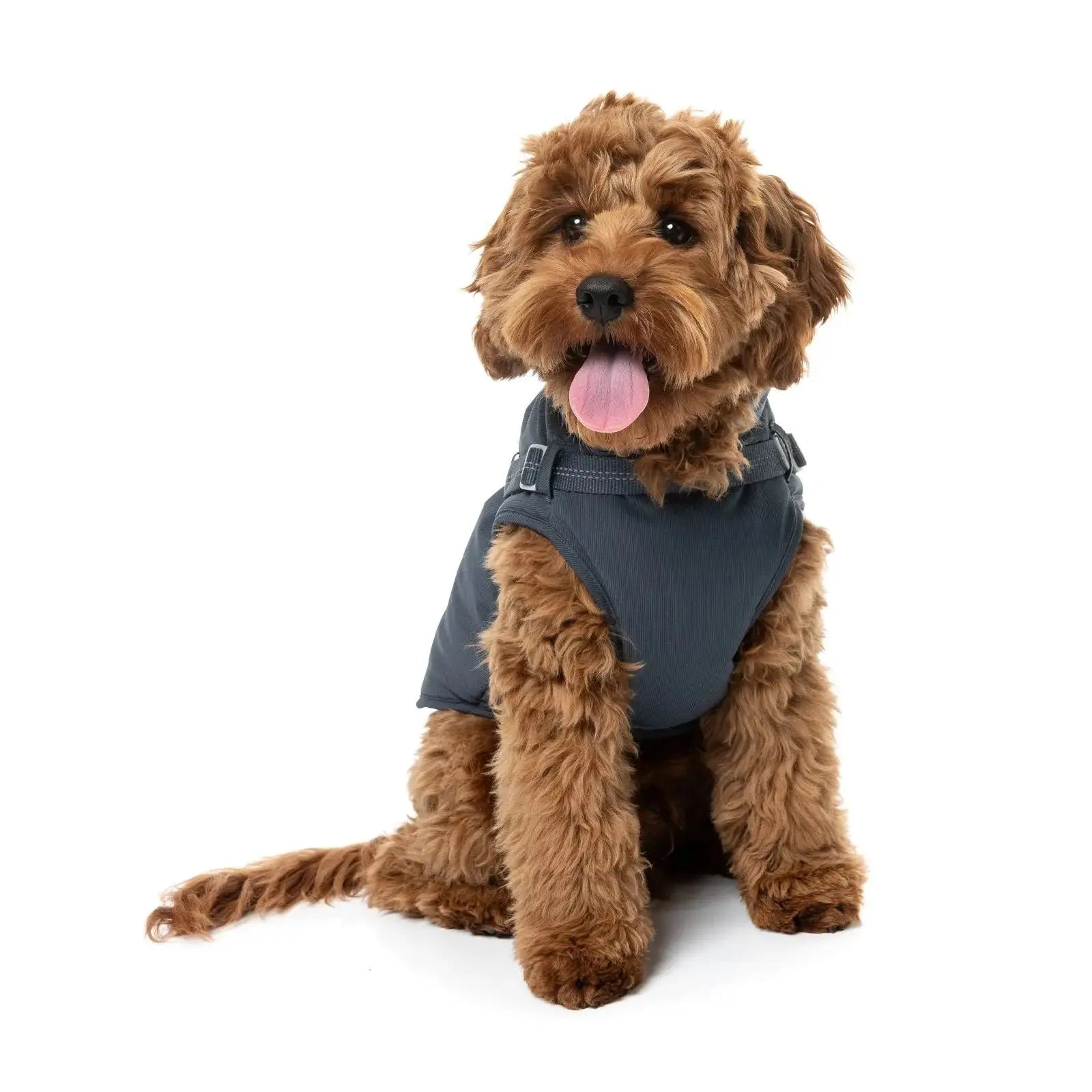 Fuzzyard Horizon Jacket  Dog Coat - Navy Fuzzyard