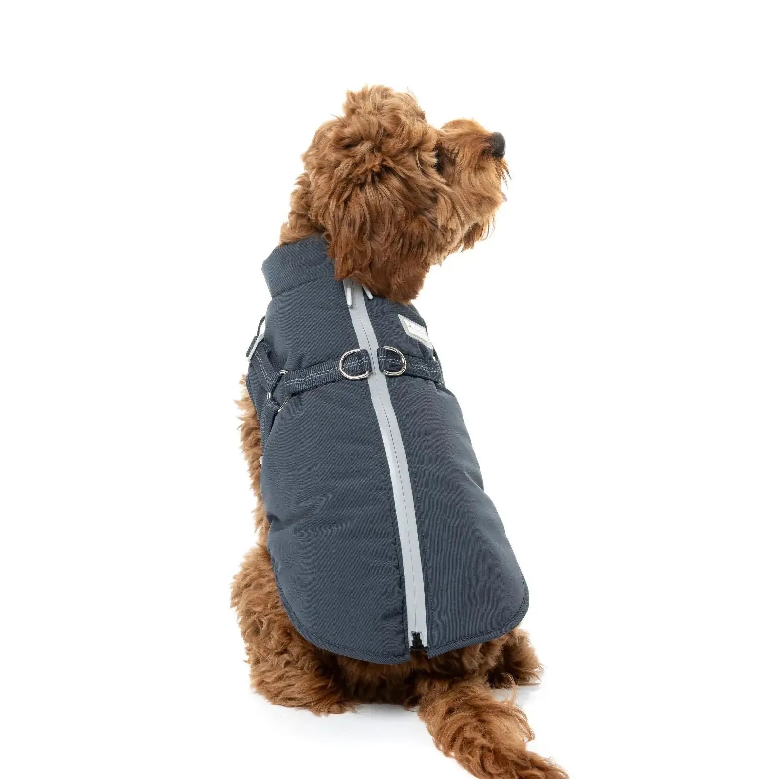Fuzzyard Horizon Jacket  Dog Coat - Navy Fuzzyard