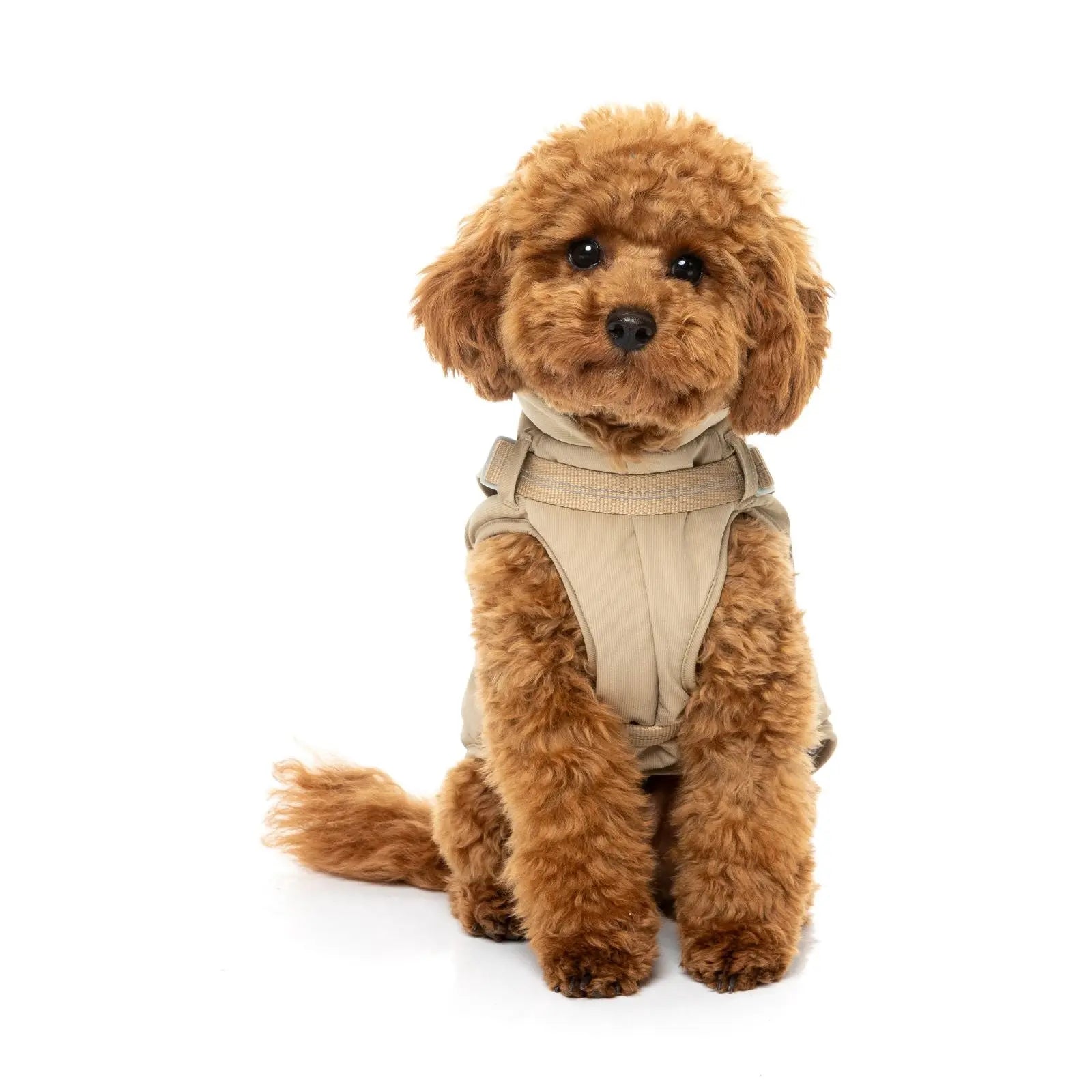 Fuzzyard Horizon Jacket  Dog Coat - Taupe Fuzzyard