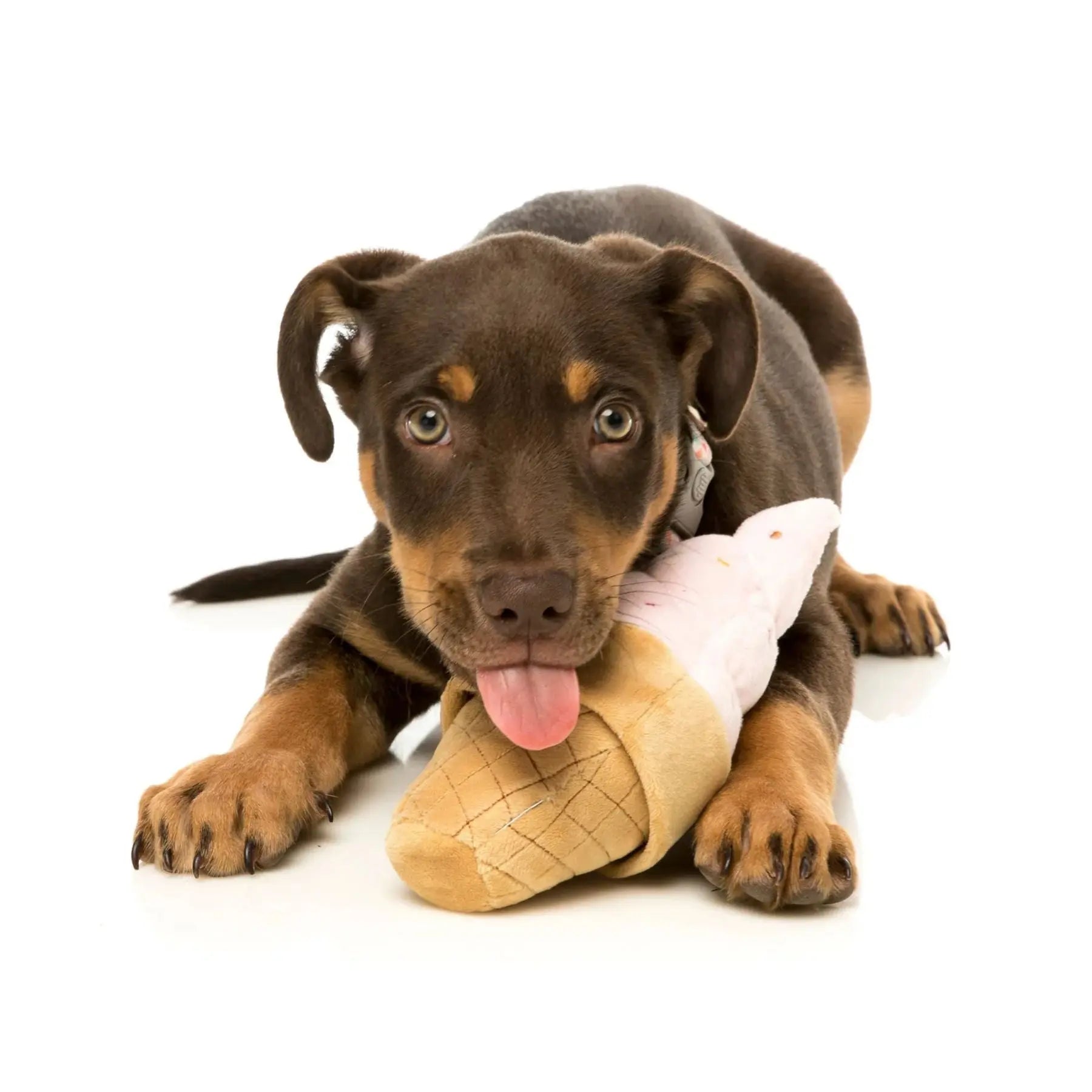 Fuzzyard Soft Serve Ice Cream Dog Toy Fuzzyard