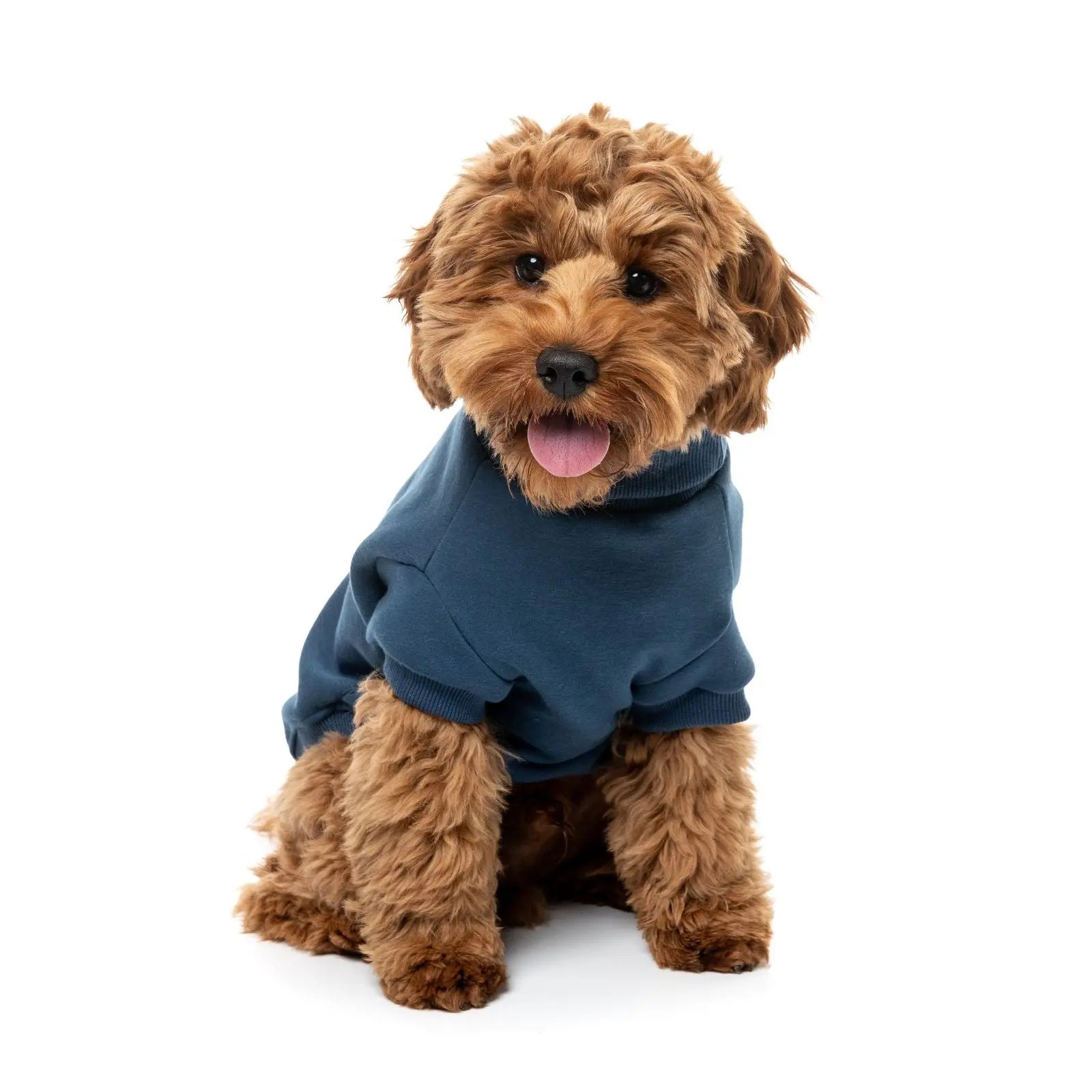 Fuzzyard Stevie Sweater  Dog Coat - Navy Fuzzyard