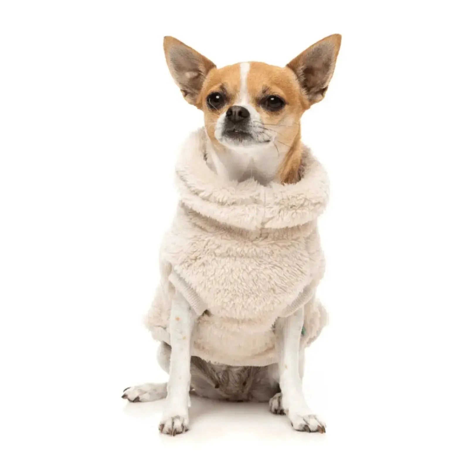Fuzzyard Turtle Teddy Sweater  Dog Coat - Beige Fuzzyard