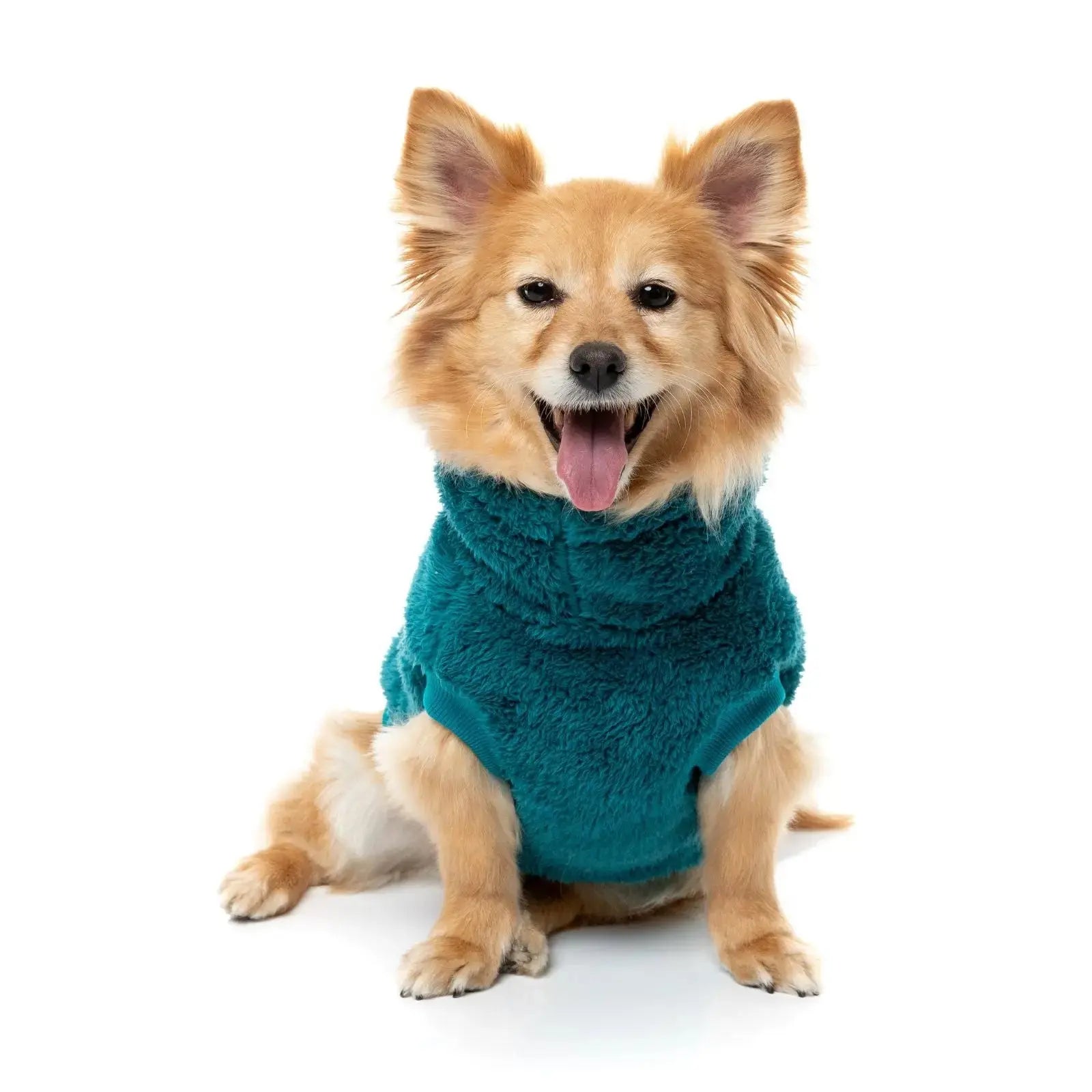 Fuzzyard Turtle Teddy Sweater  Dog Coat - Deep Teal Fuzzyard