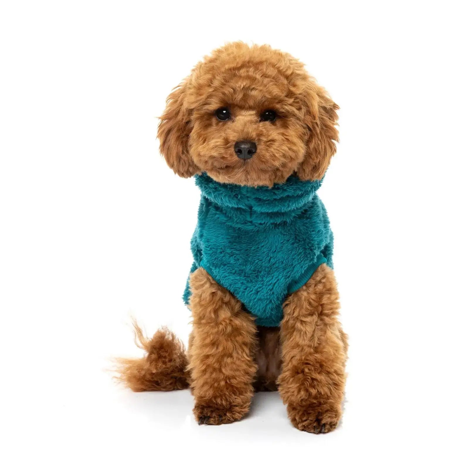Fuzzyard Turtle Teddy Sweater  Dog Coat - Deep Teal Fuzzyard