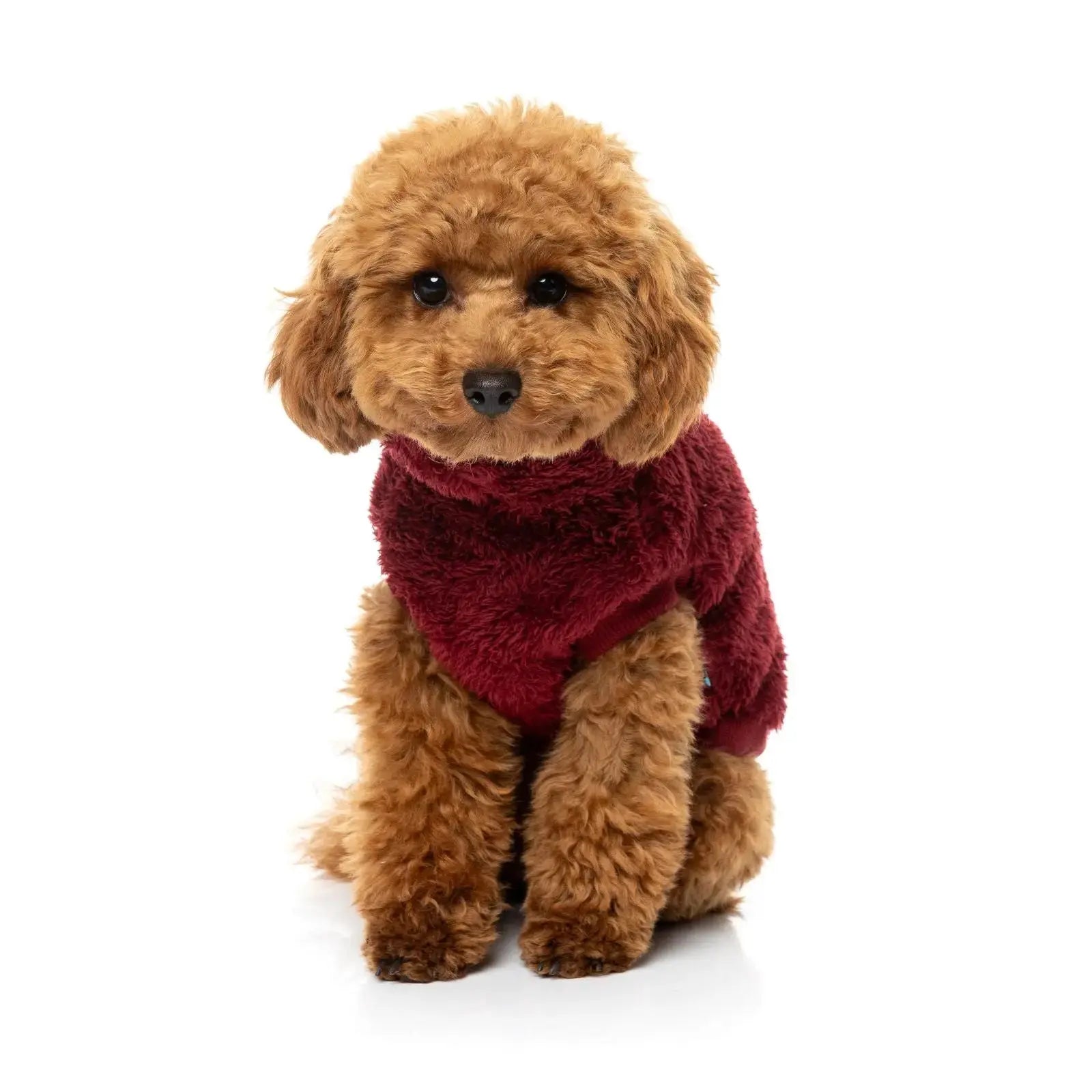 Fuzzyard Turtle Teddy Sweater  Dog Coat - Maroon Fuzzyard