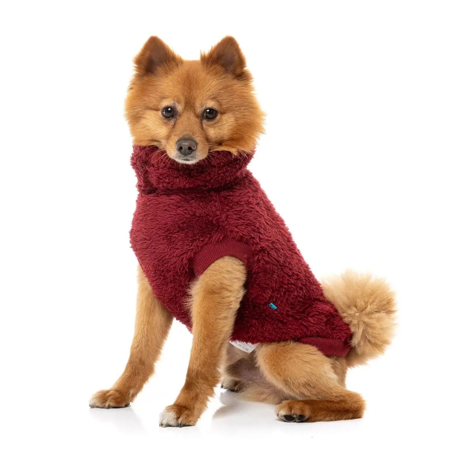 Fuzzyard Turtle Teddy Sweater  Dog Coat - Maroon Fuzzyard