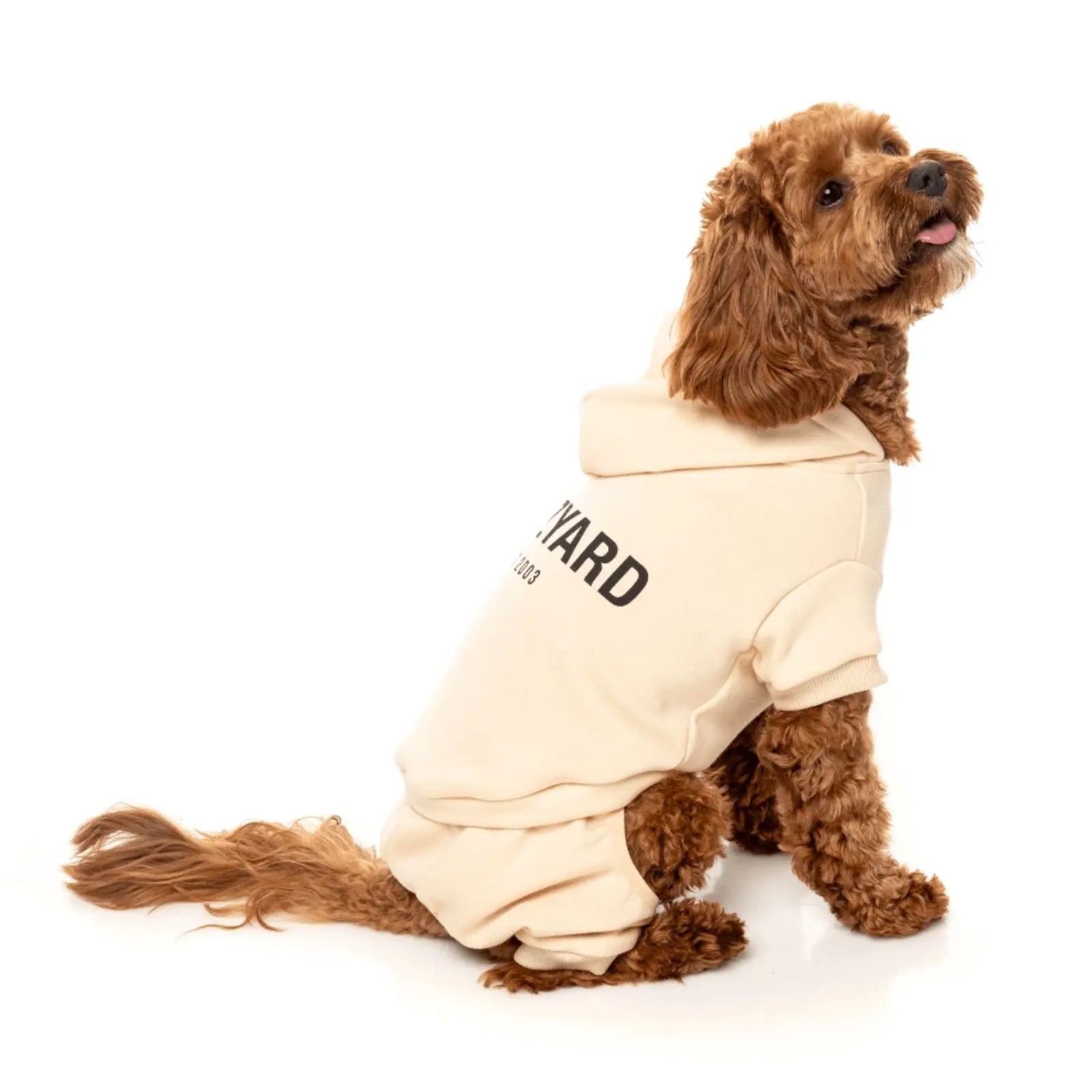 Fuzzyard Urban Tracksuit  Dog Coat - Buttermilk Fuzzyard
